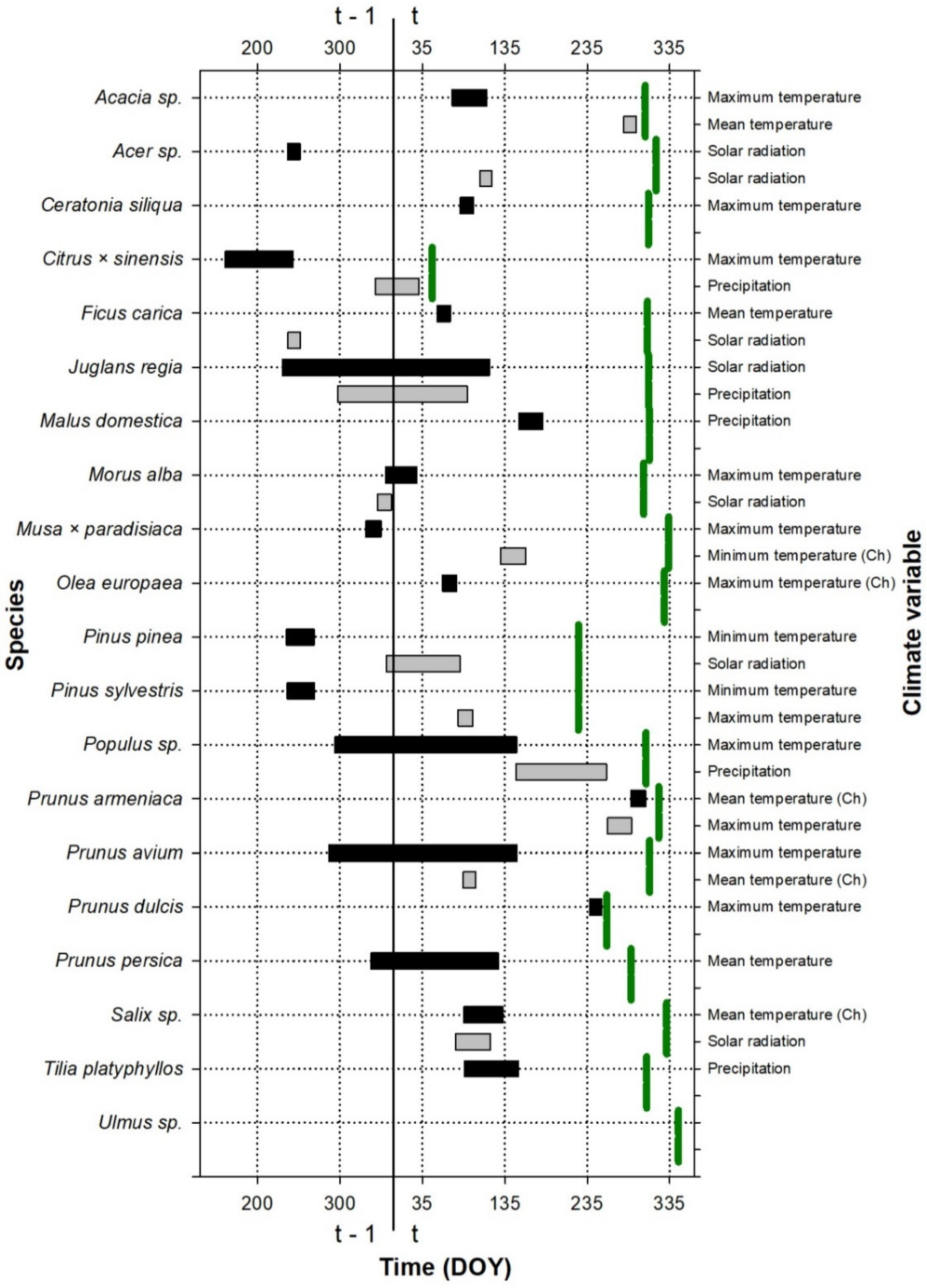 Forests 16 00175 g002