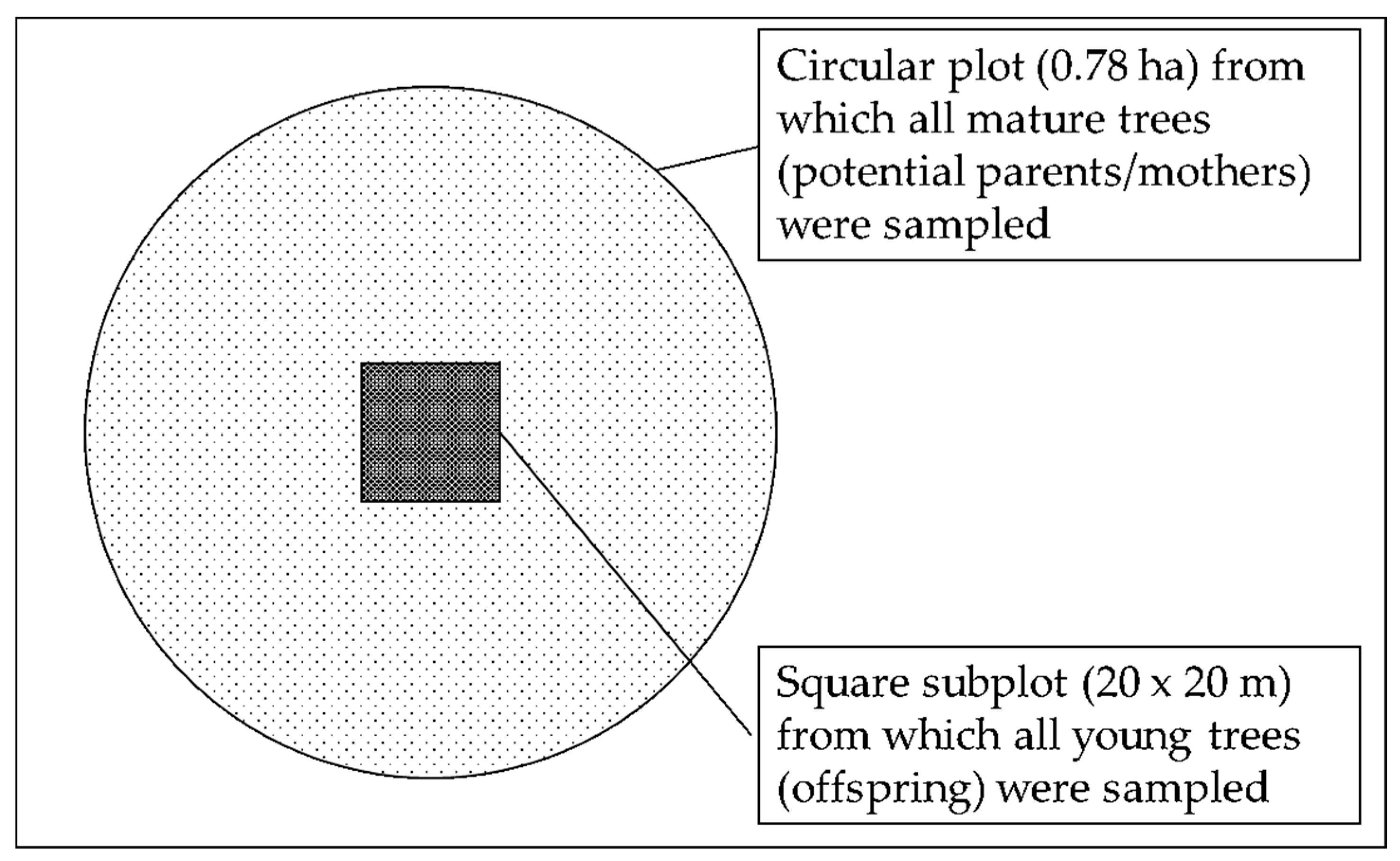 Forests 16 00178 g001 Forests 16 00178 g001