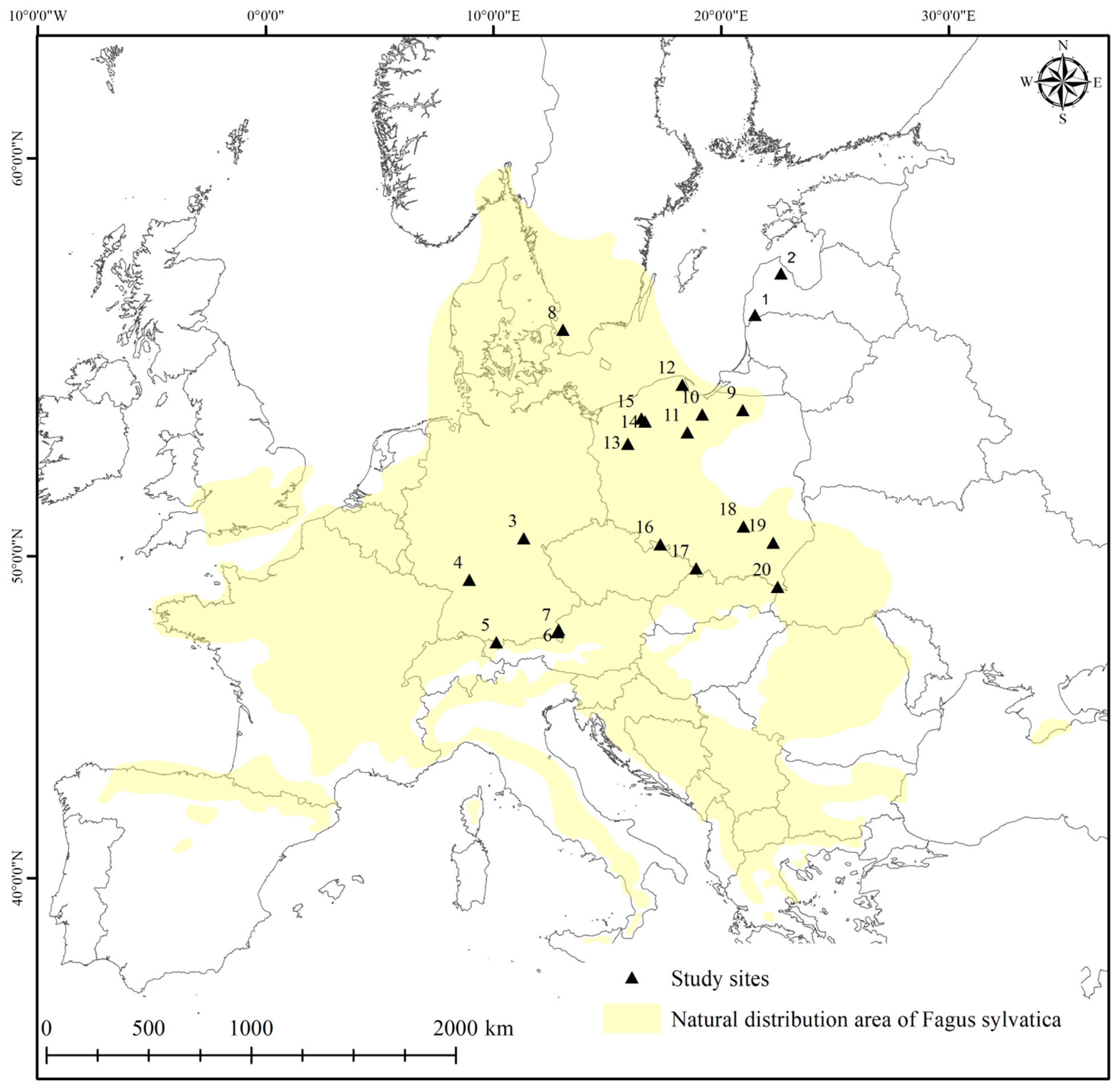 Forests 16 00178 g002 Forests 16 00178 g002