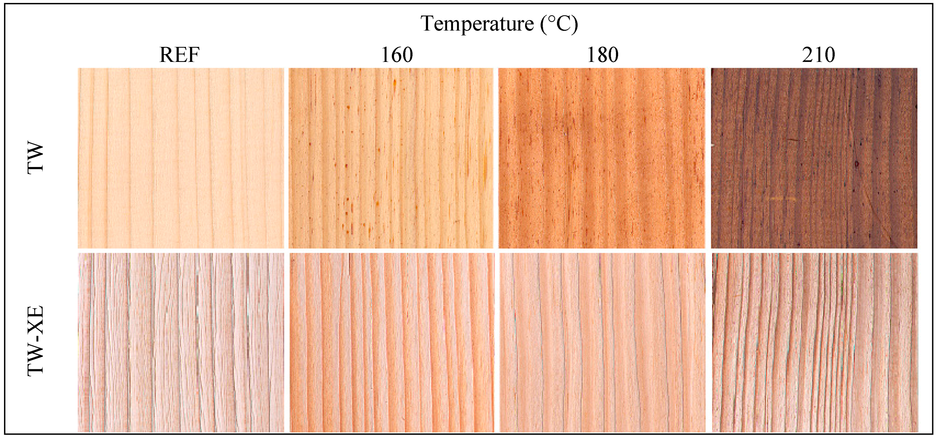 Forests 16 00180 g003 Forests 16 00180 g003