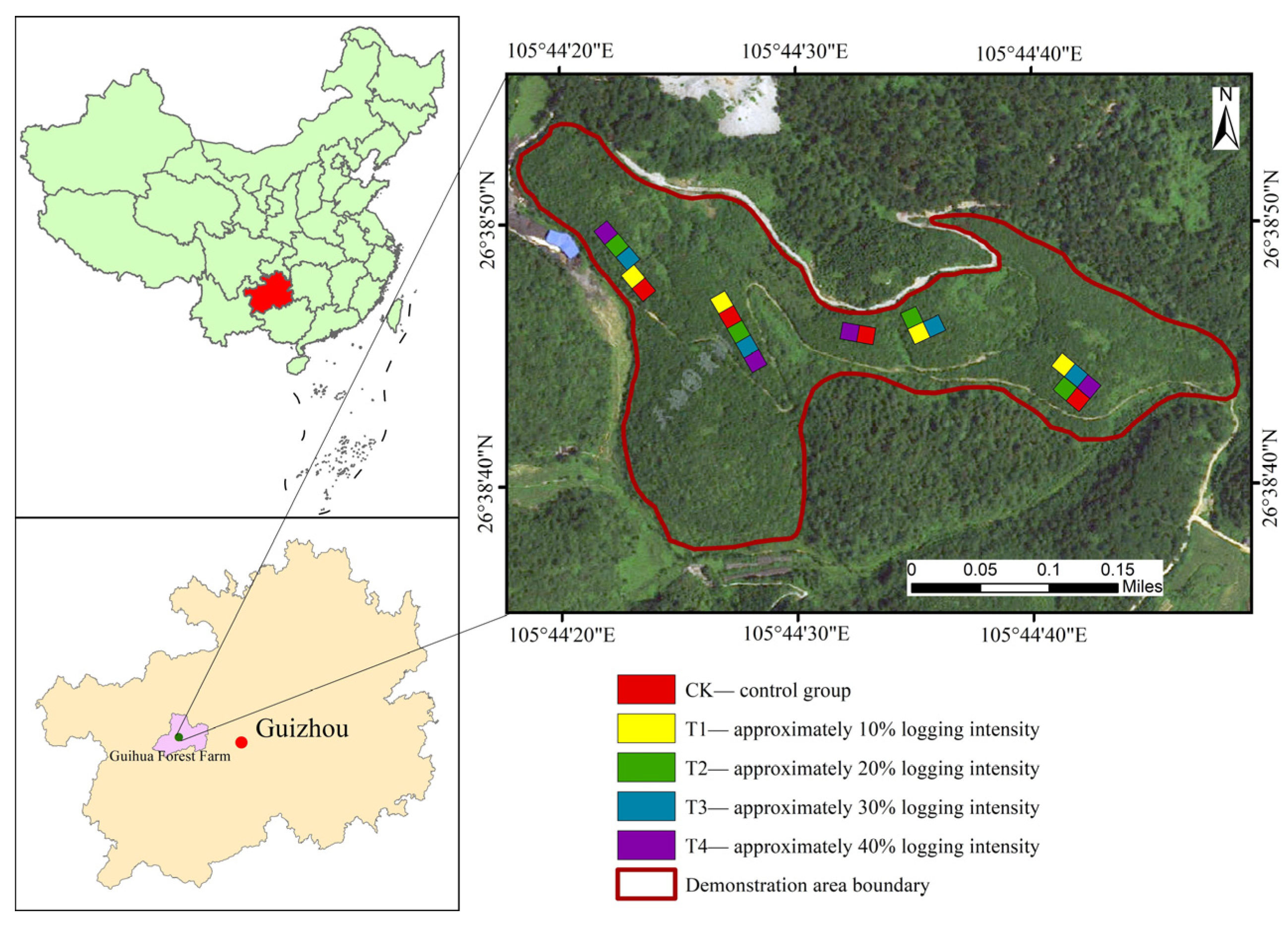 Forests 16 00183 g001