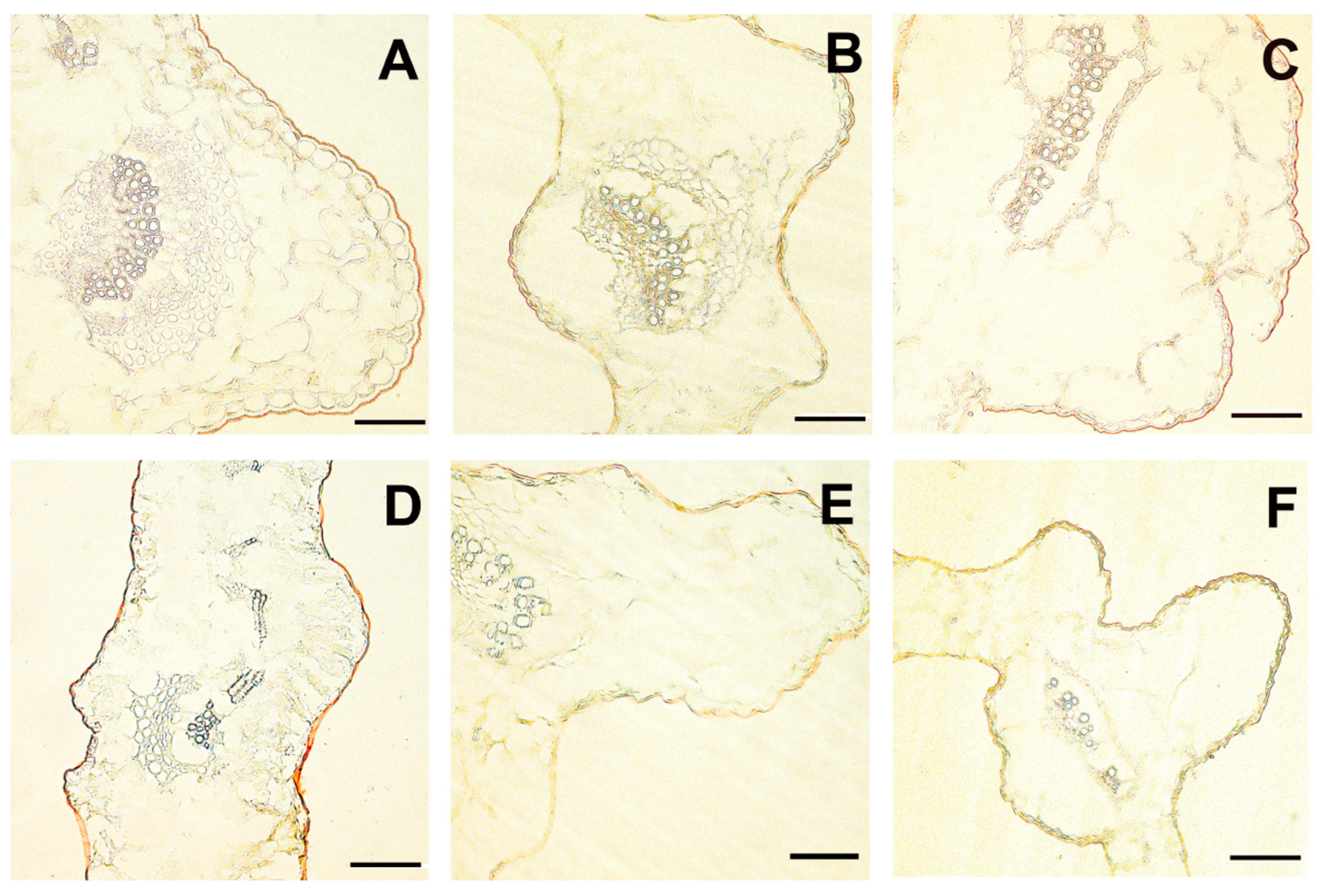 Forests 16 00187 g003