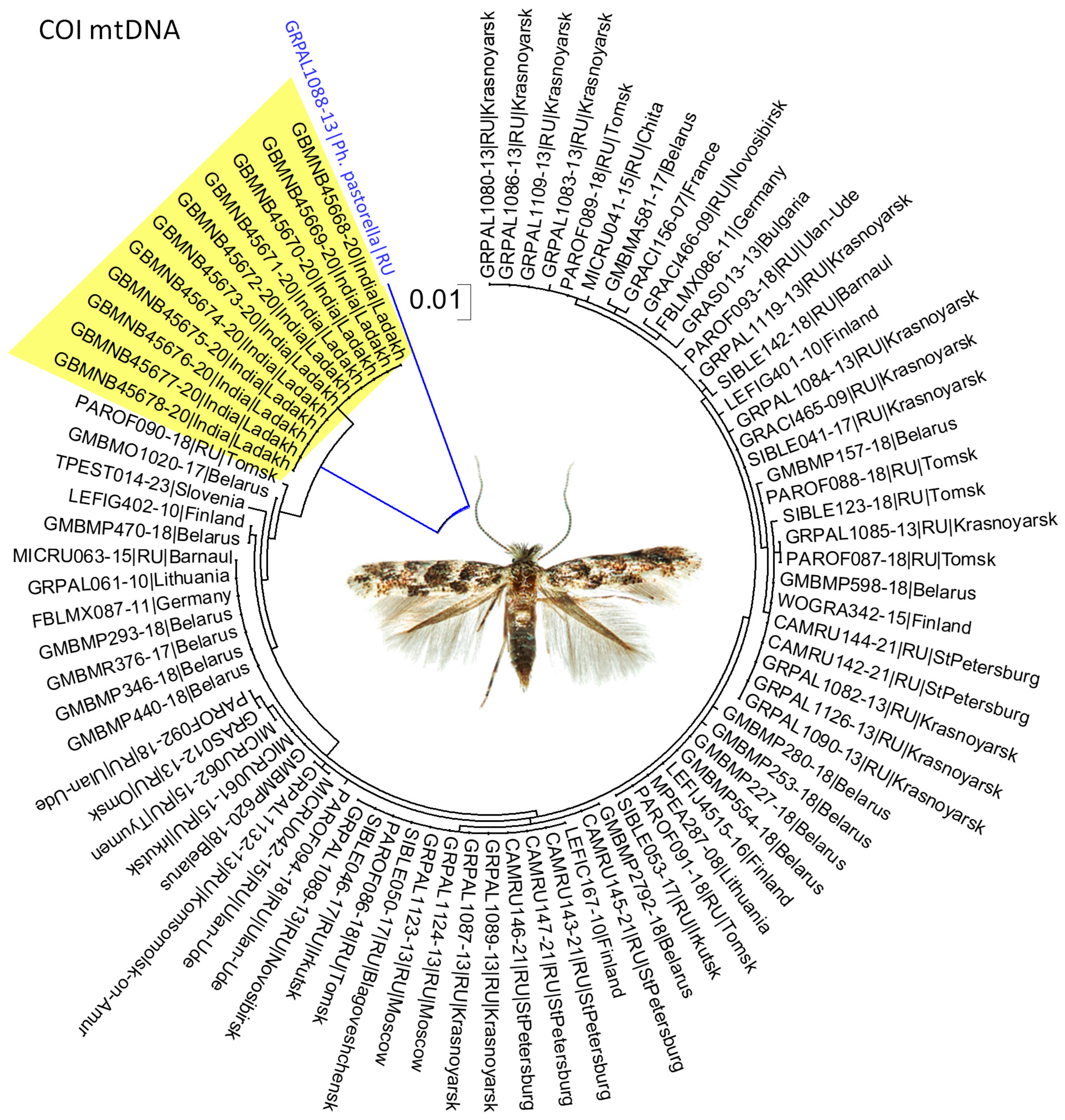 Forests 16 00190 g004