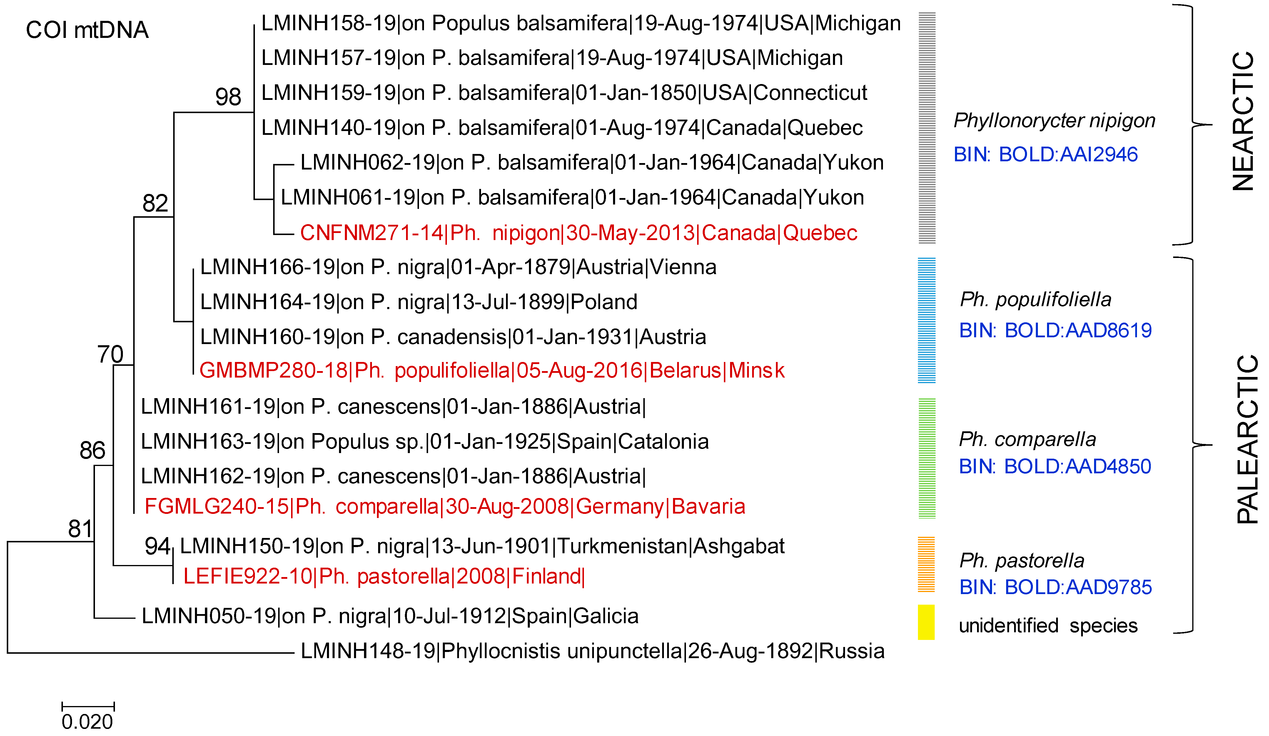 Forests 16 00190 g010