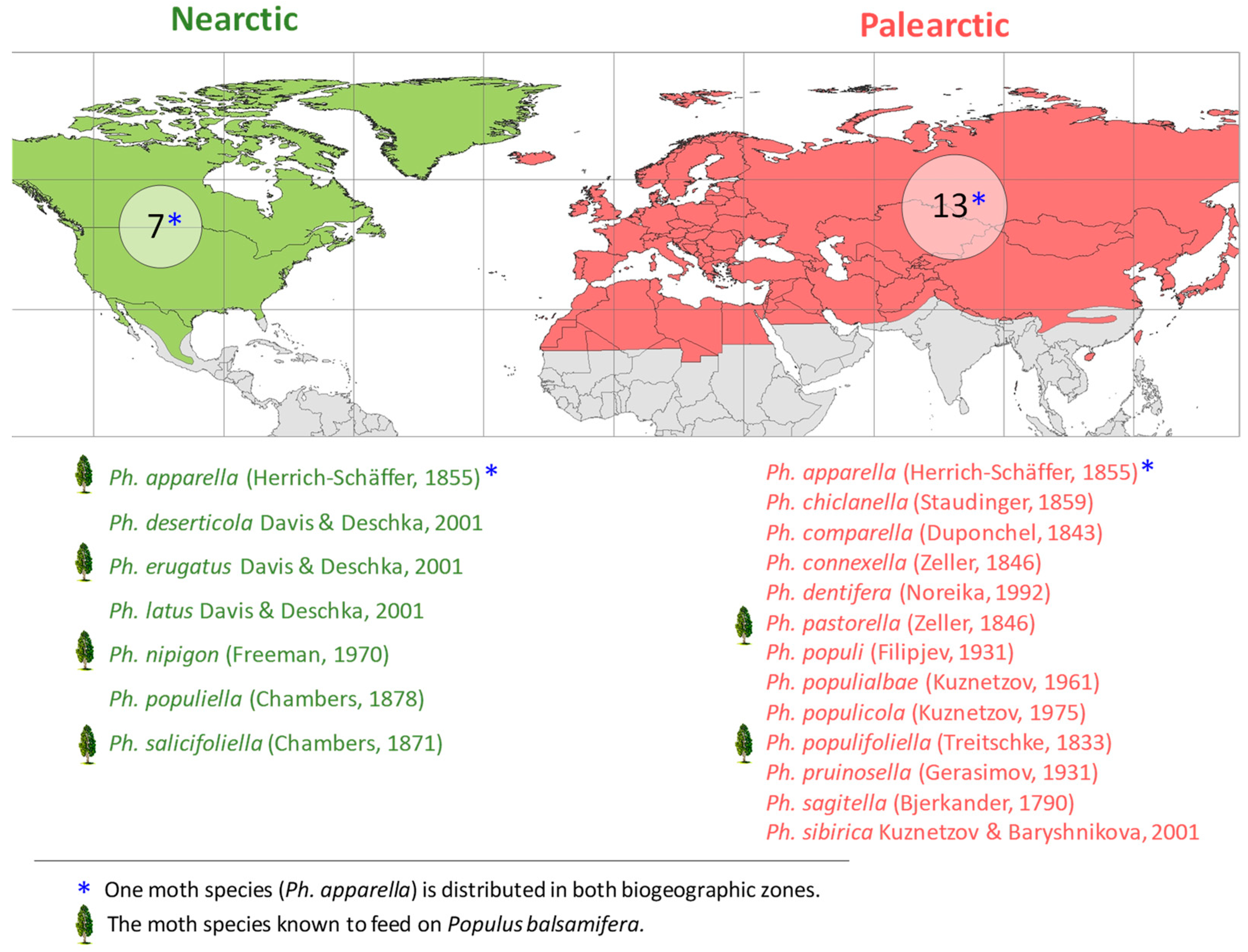Forests 16 00190 g011