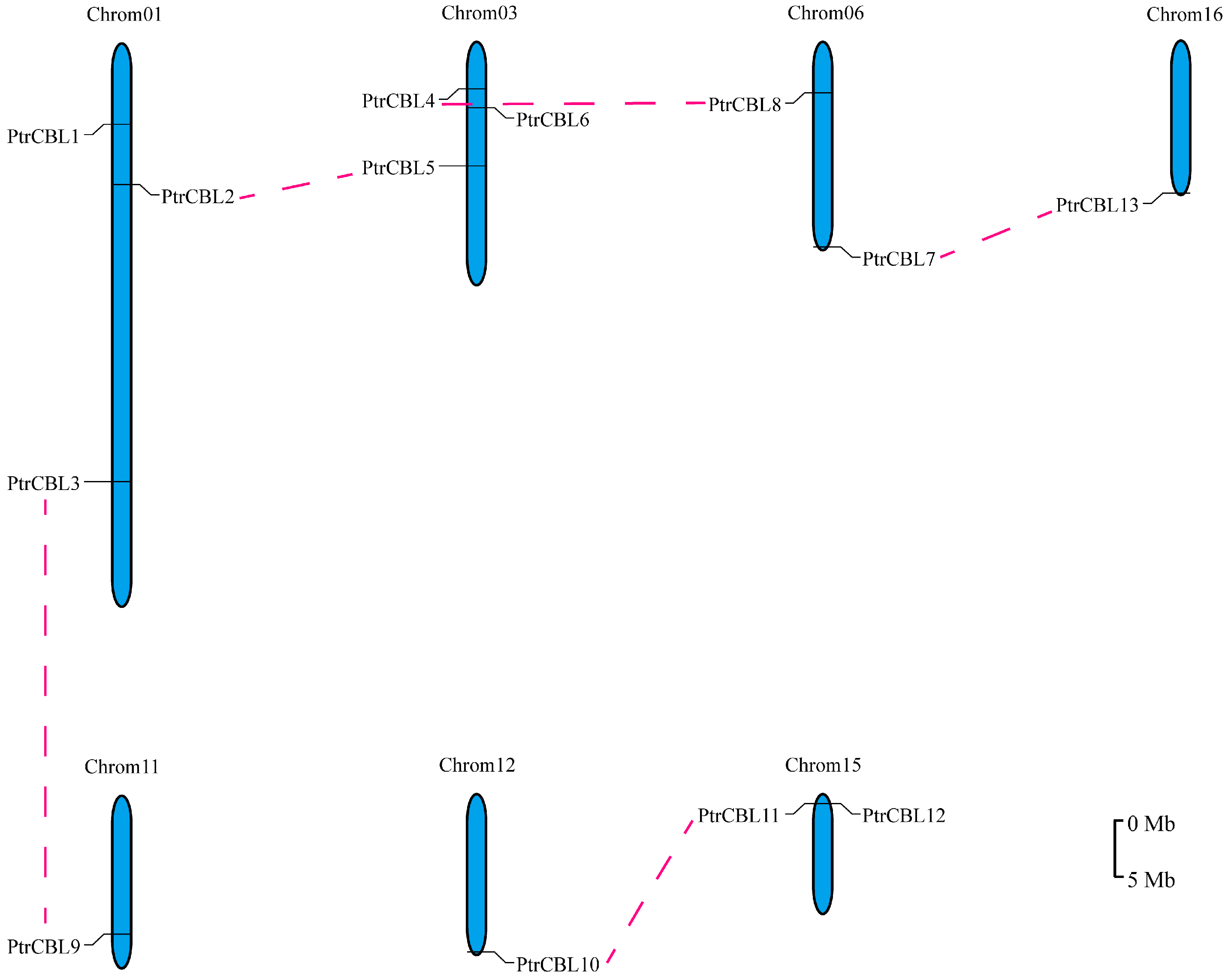 Forests 16 00200 g001