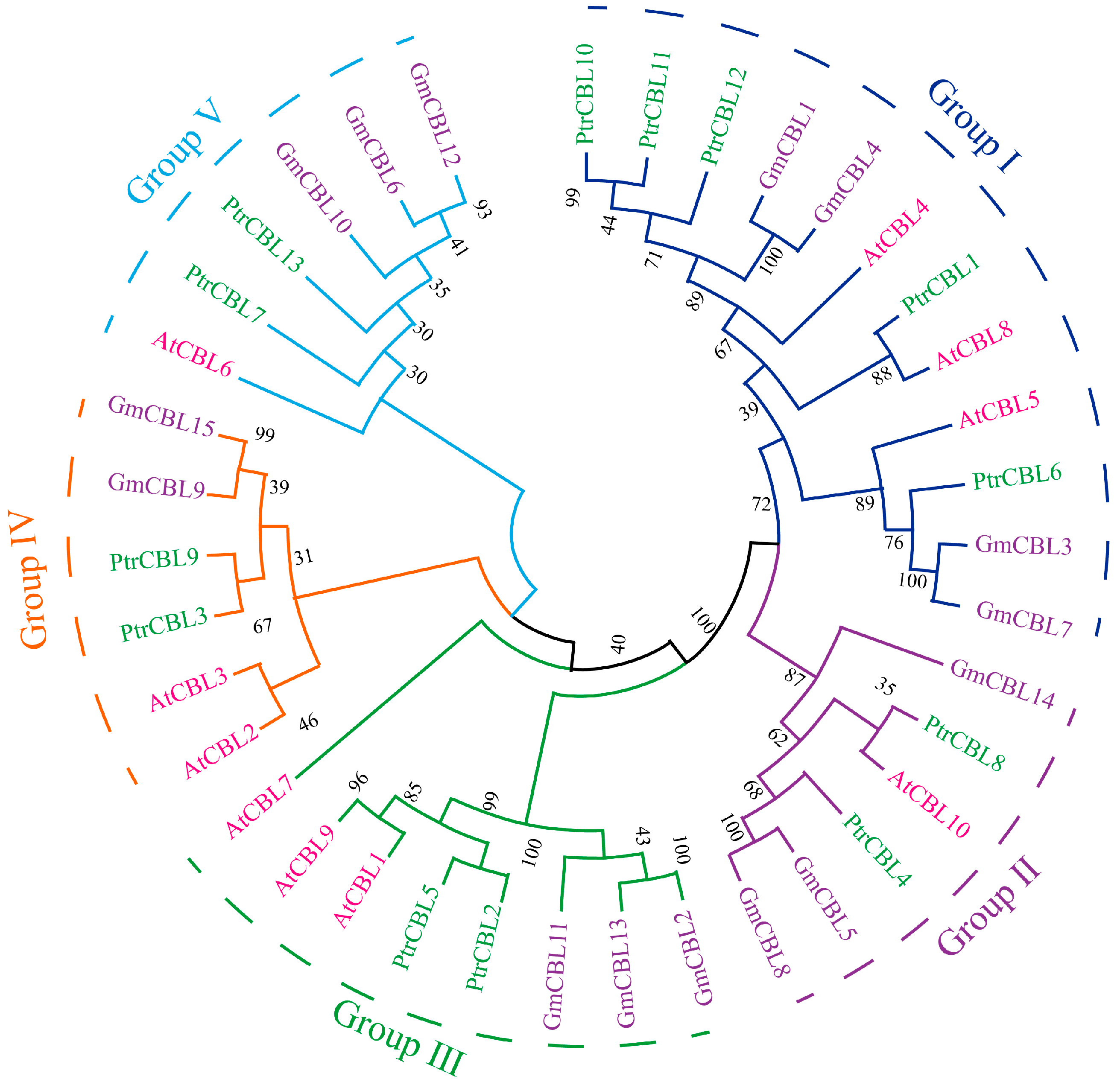 Forests 16 00200 g002