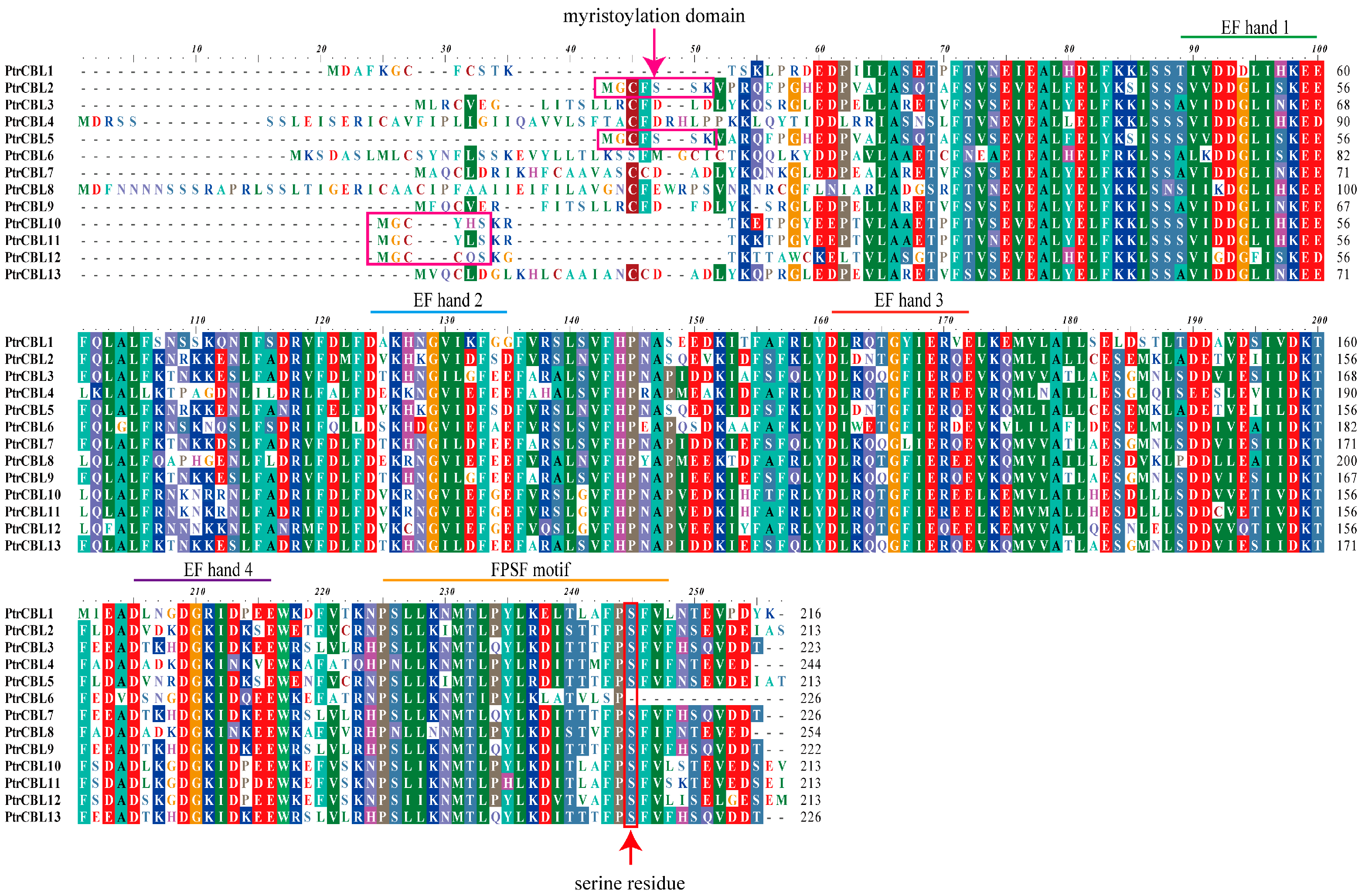 Forests 16 00200 g003
