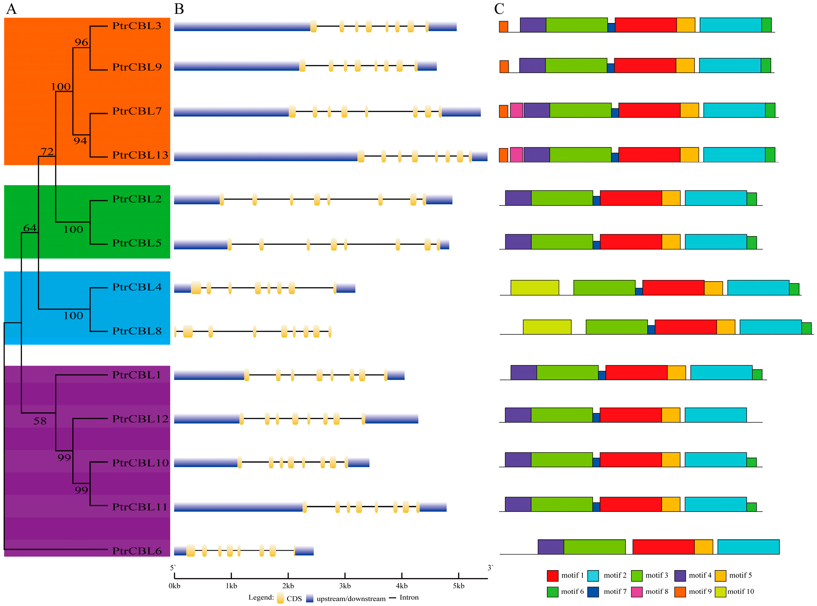 Forests 16 00200 g004