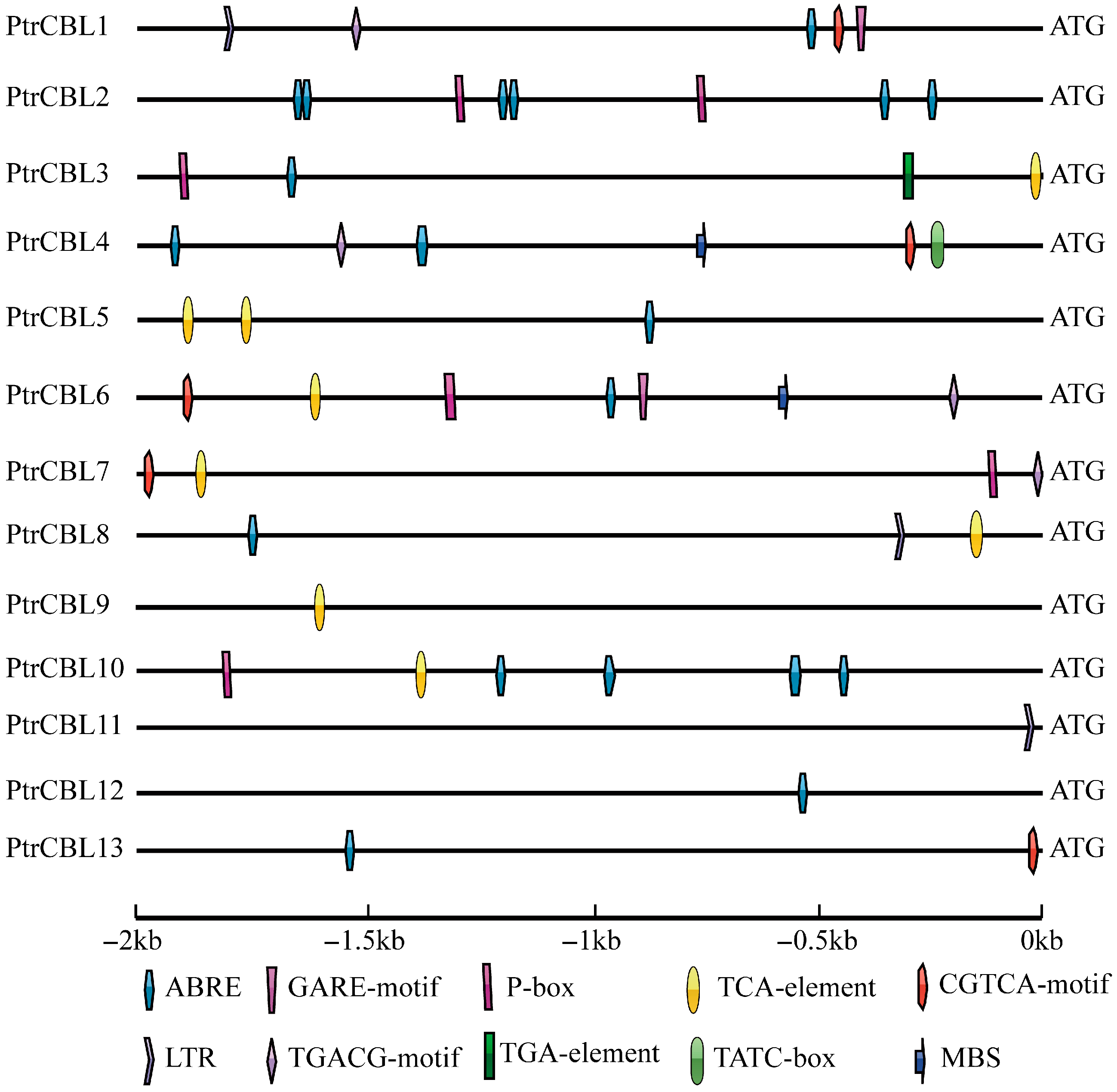 Forests 16 00200 g005