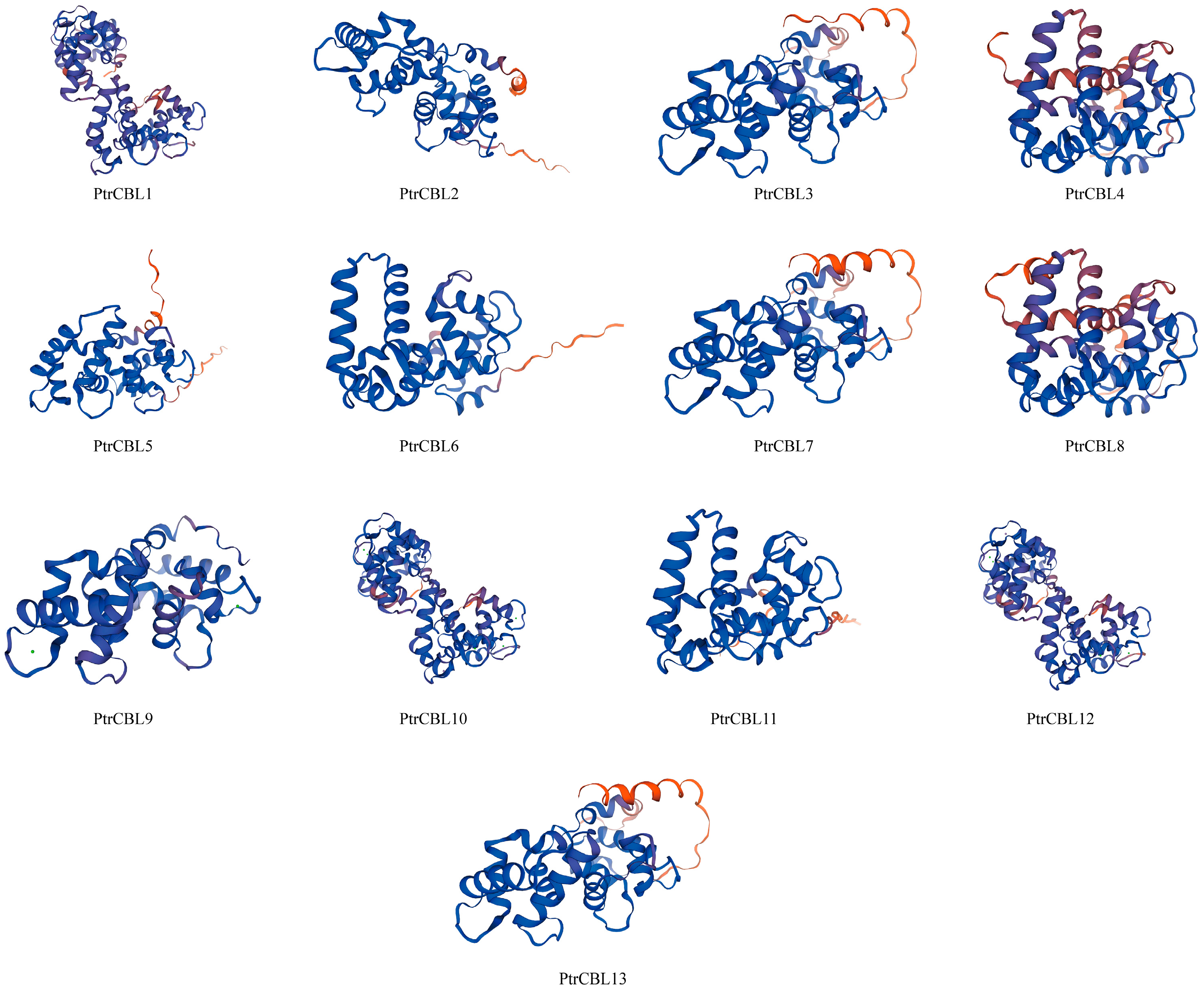 Forests 16 00200 g006
