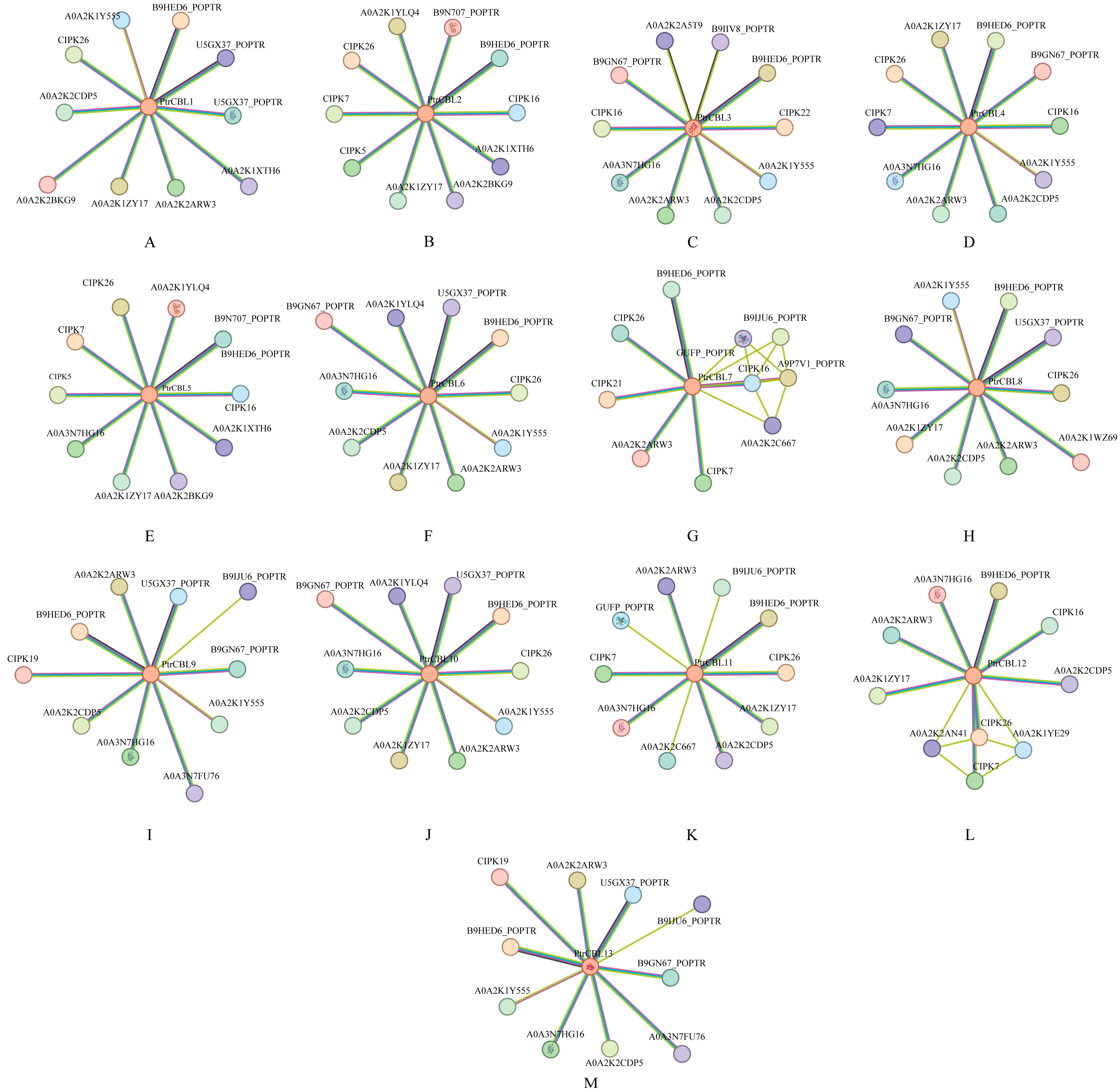 Forests 16 00200 g007