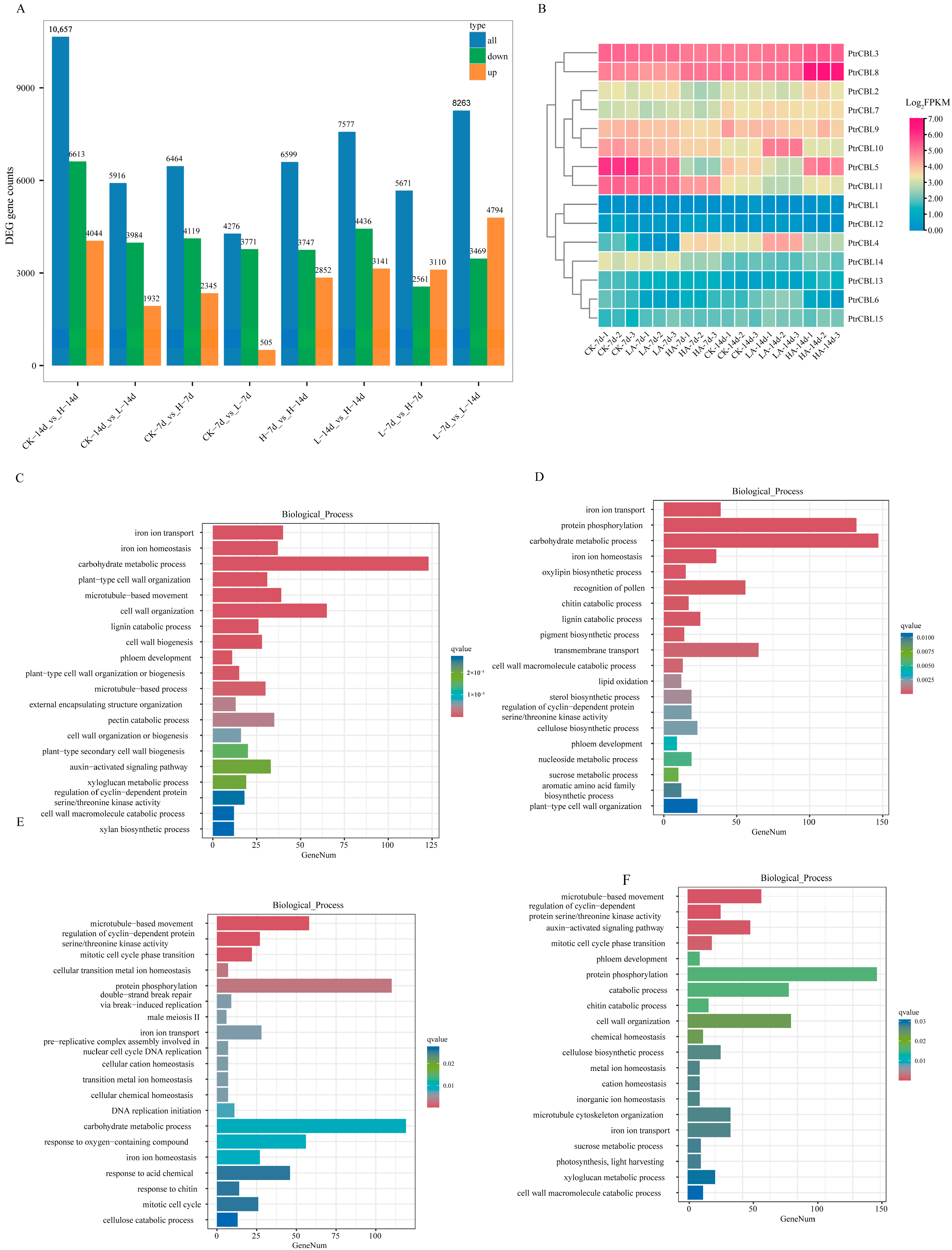Forests 16 00200 g009