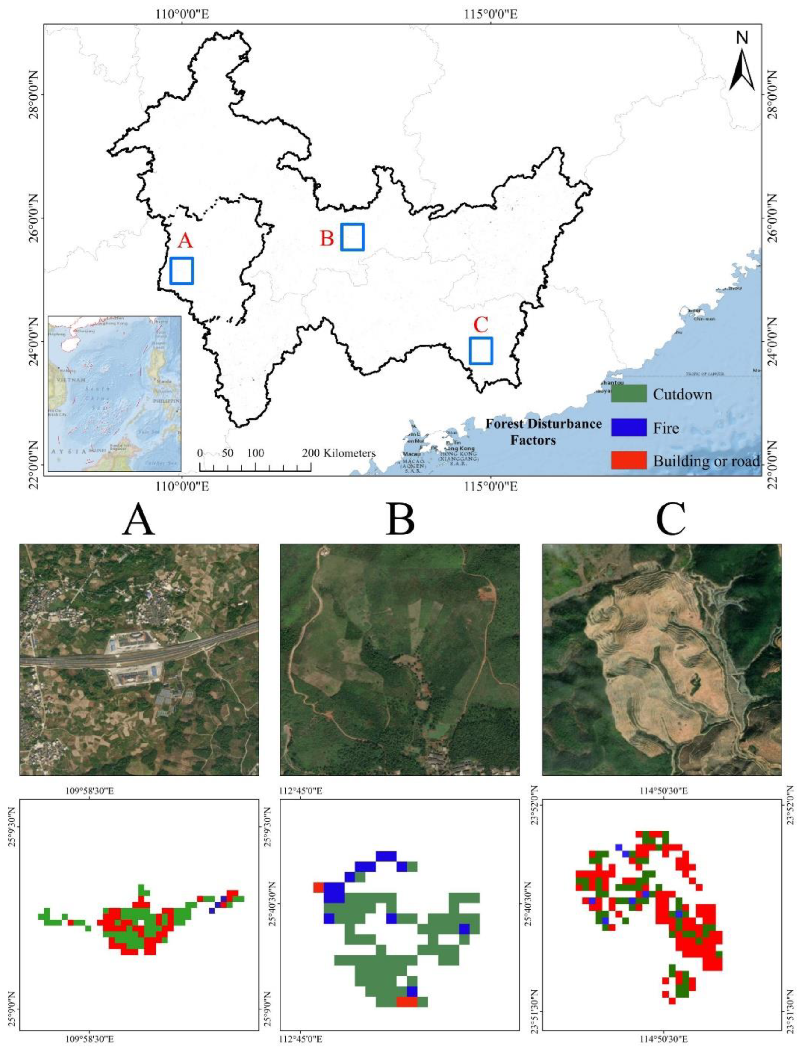 Forests 16 00205 g008