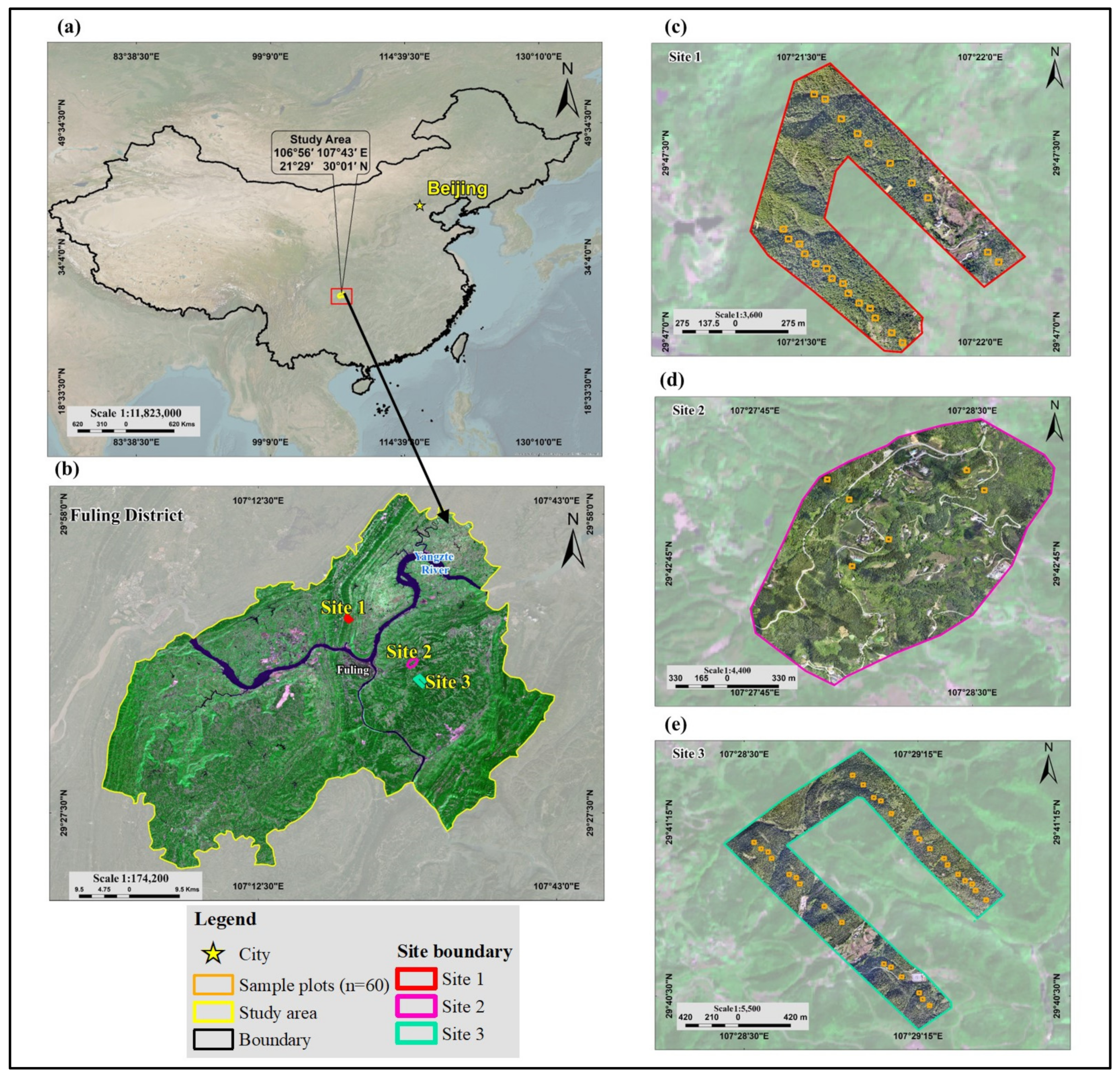 Forests 16 00214 g001