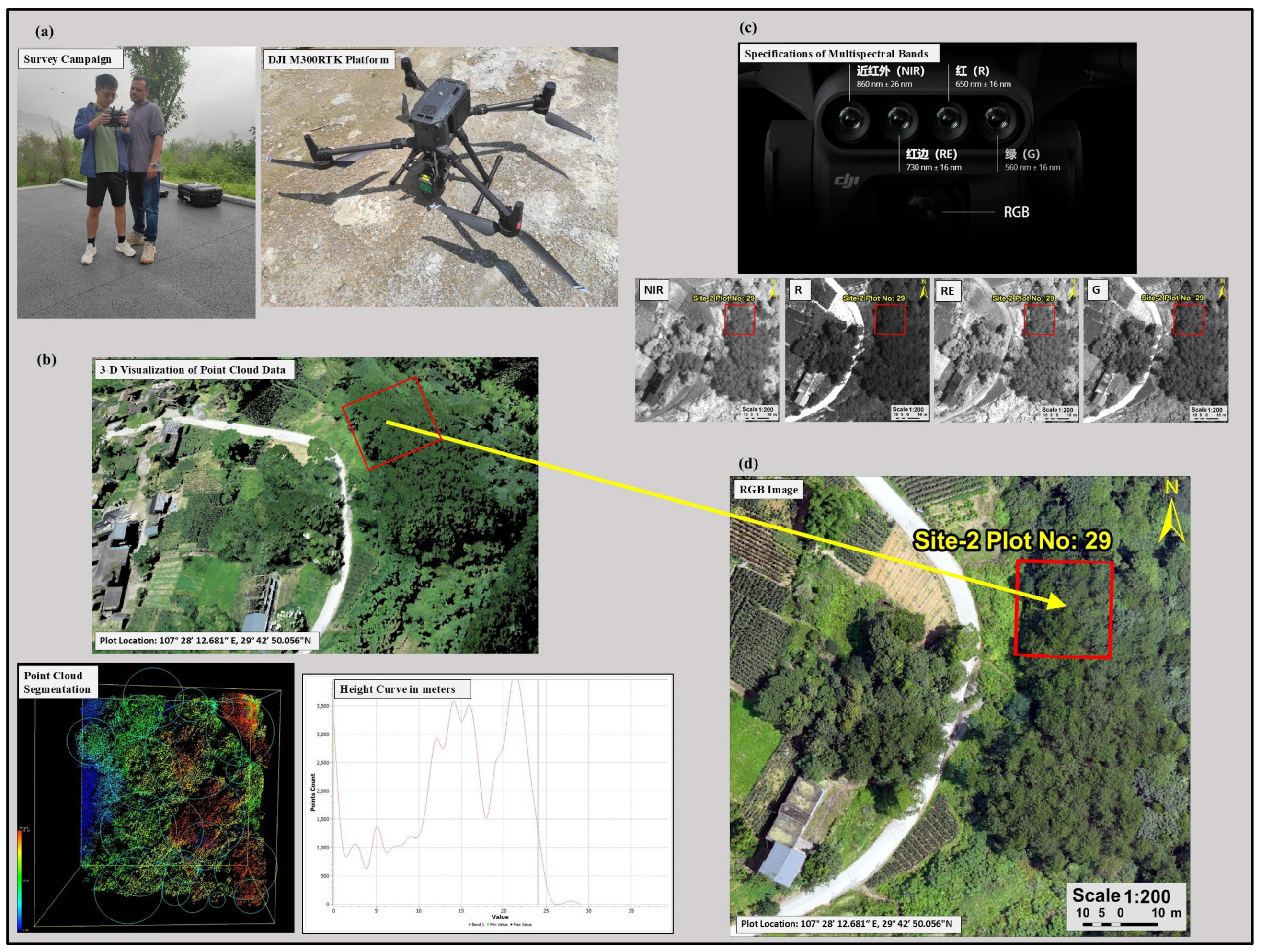 Forests 16 00214 g003