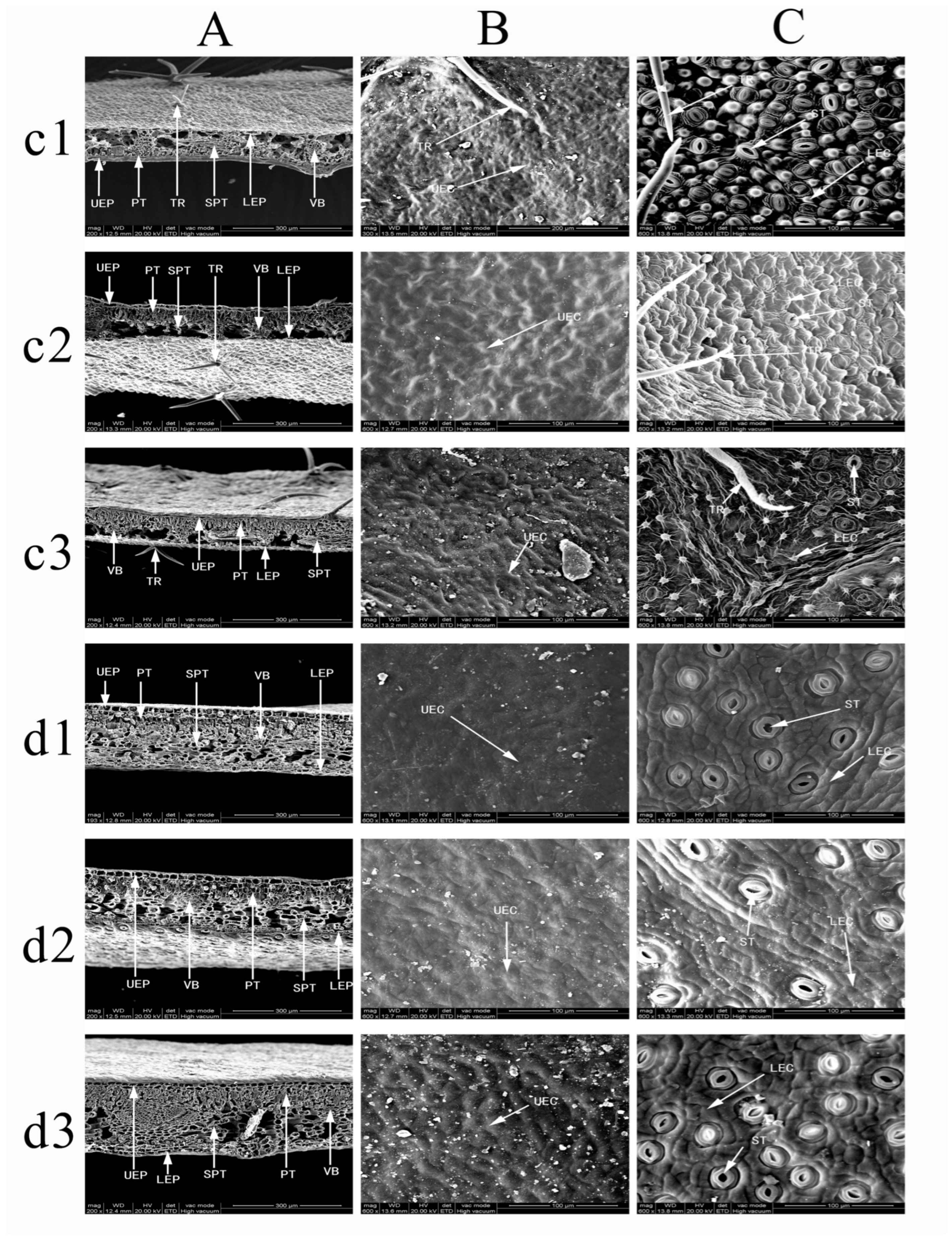 Forests 16 00216 g013
