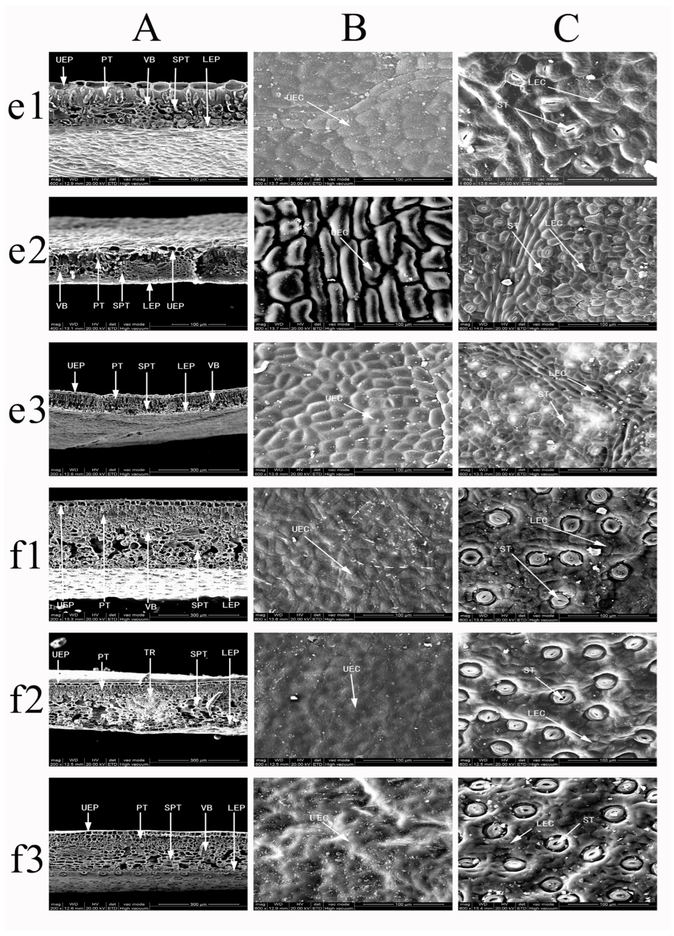 Forests 16 00216 g014