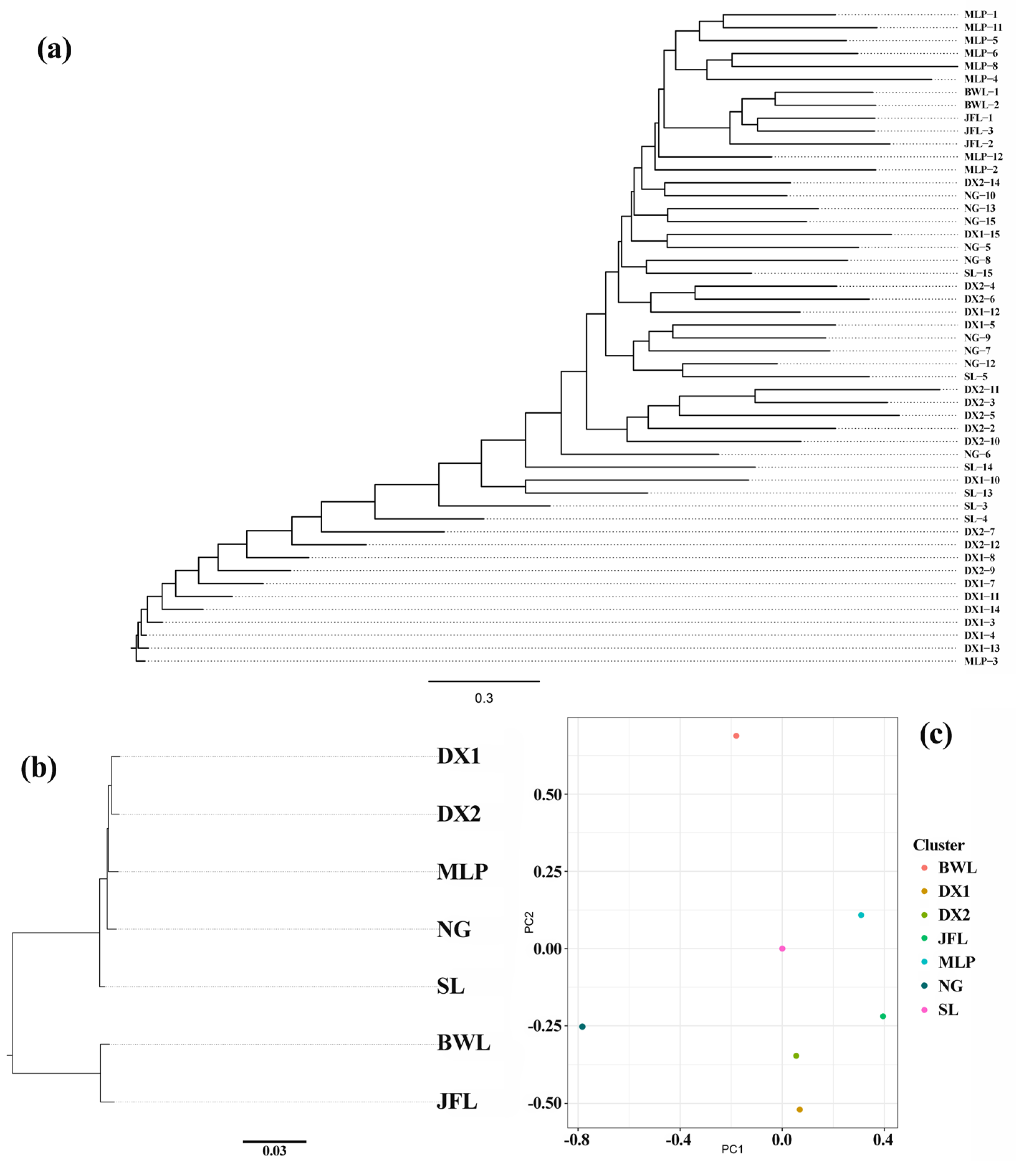 Forests 16 00217 g005