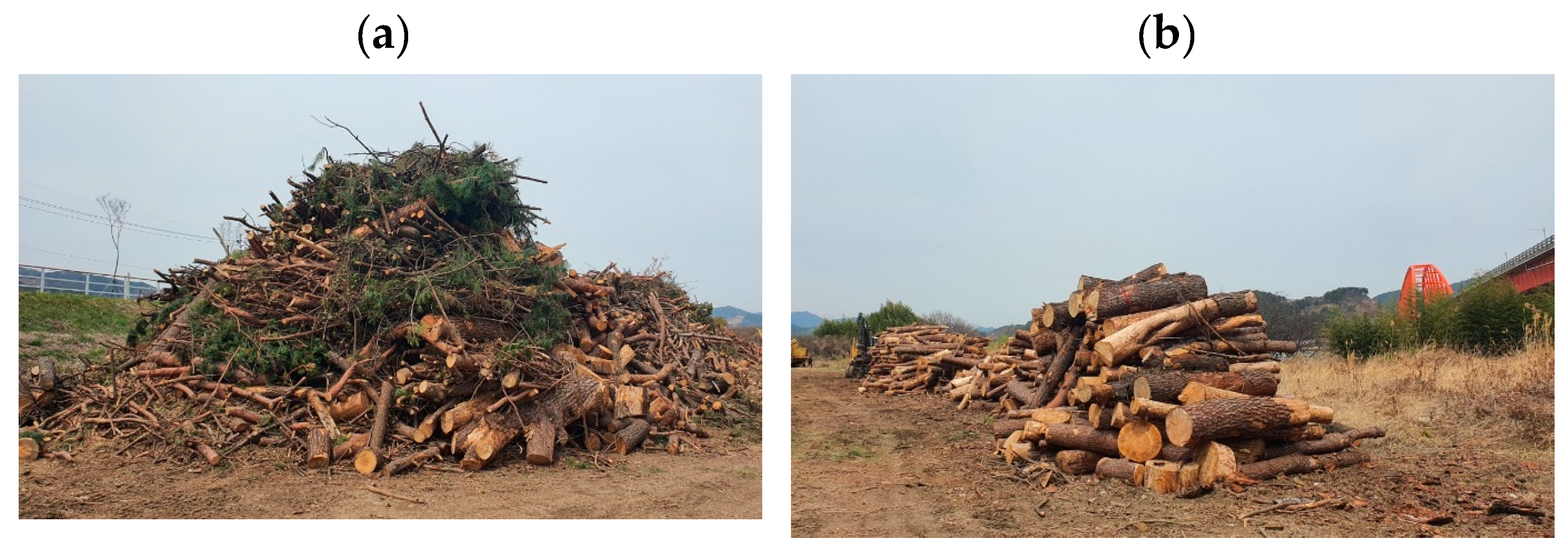 Forests 16 00221 g001