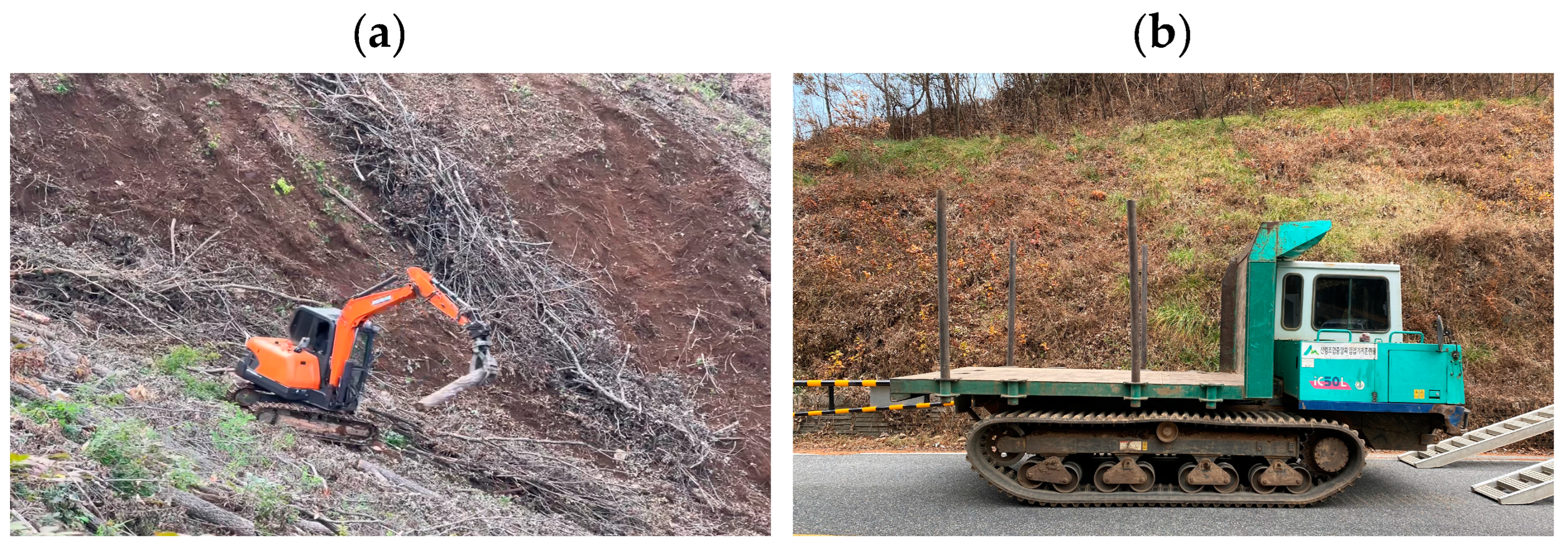 Forests 16 00221 g002