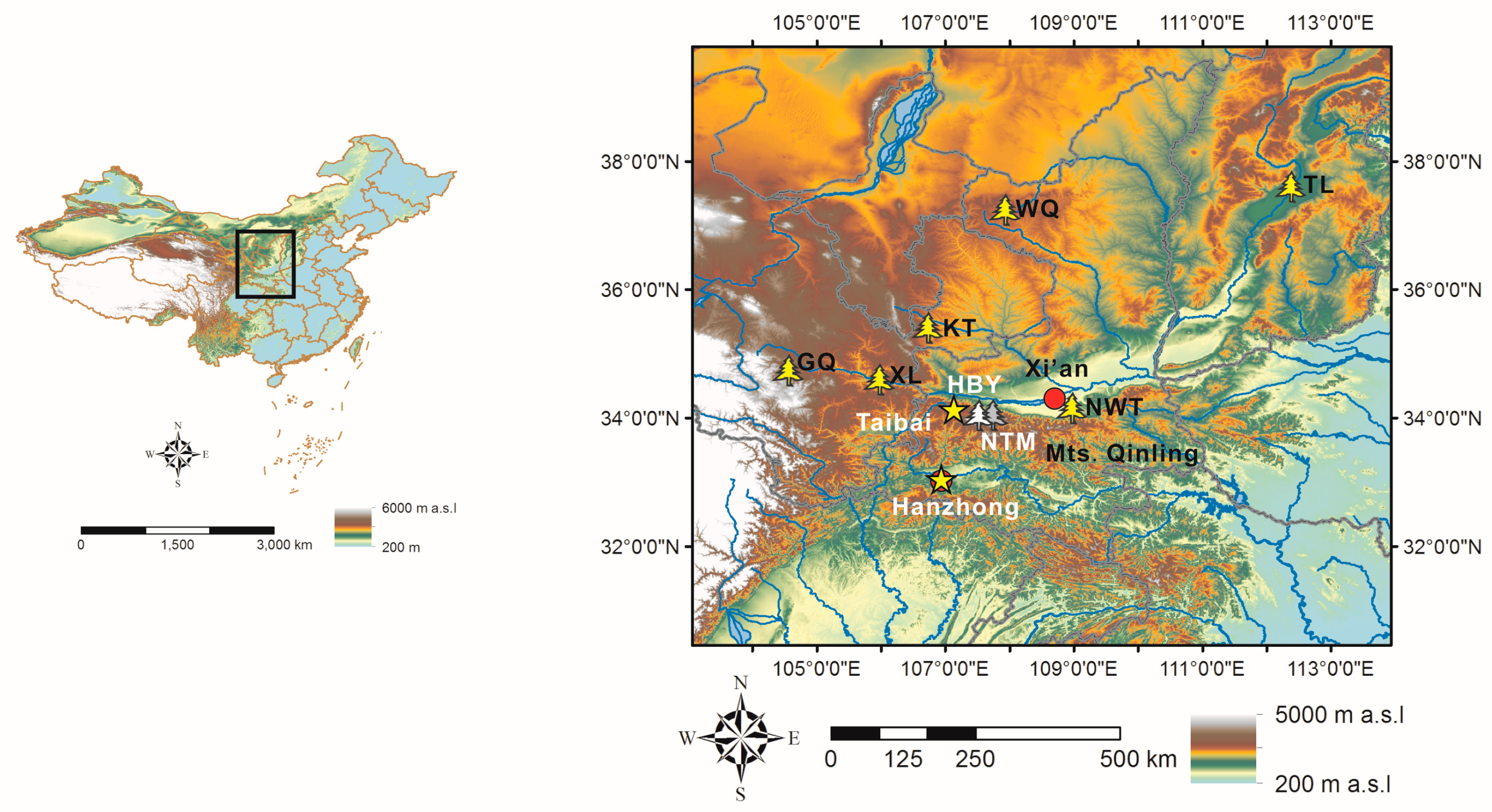 Forests 16 00232 g001