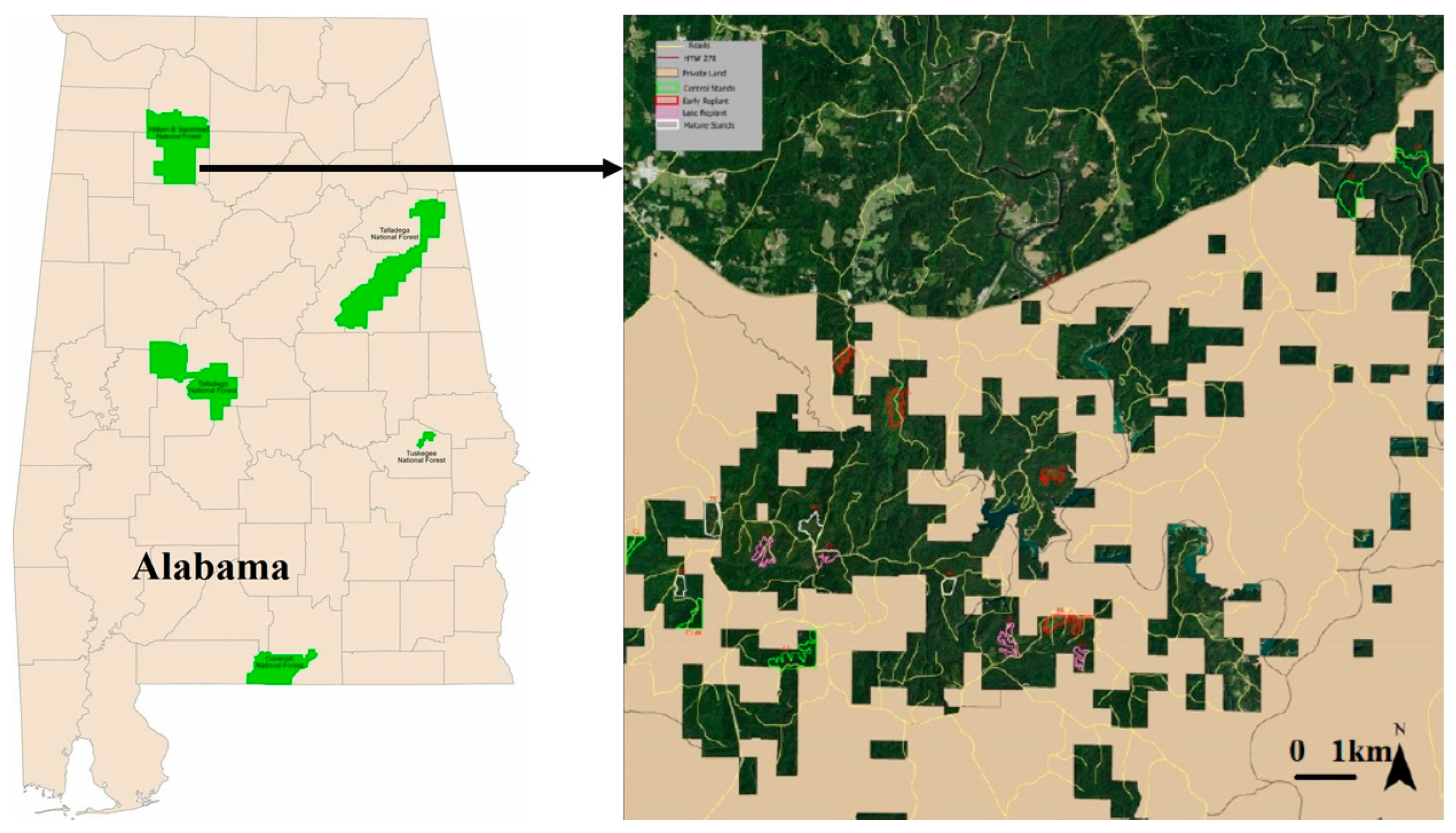 Forests 16 00241 g001