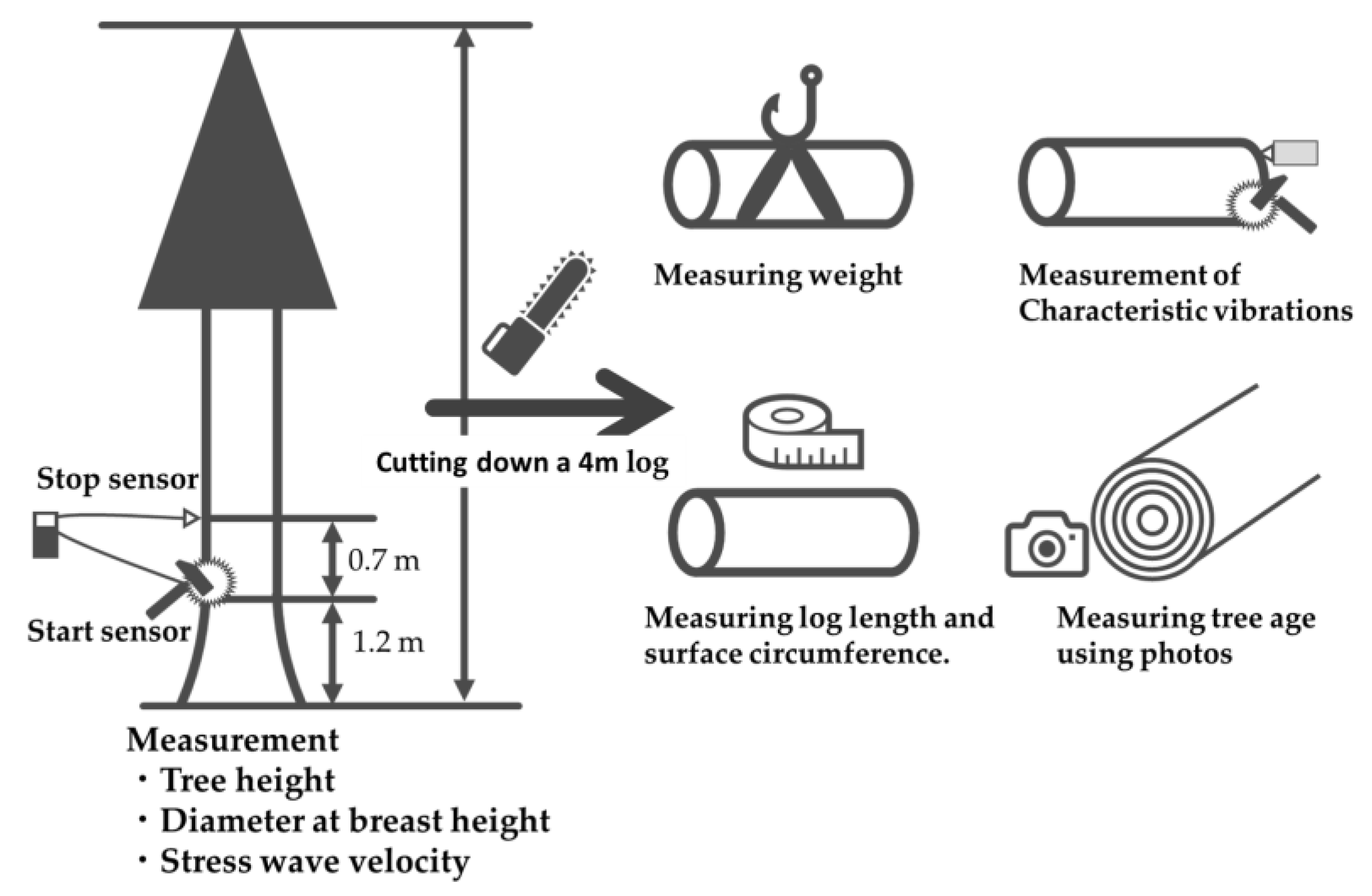 Forests 16 00244 g001