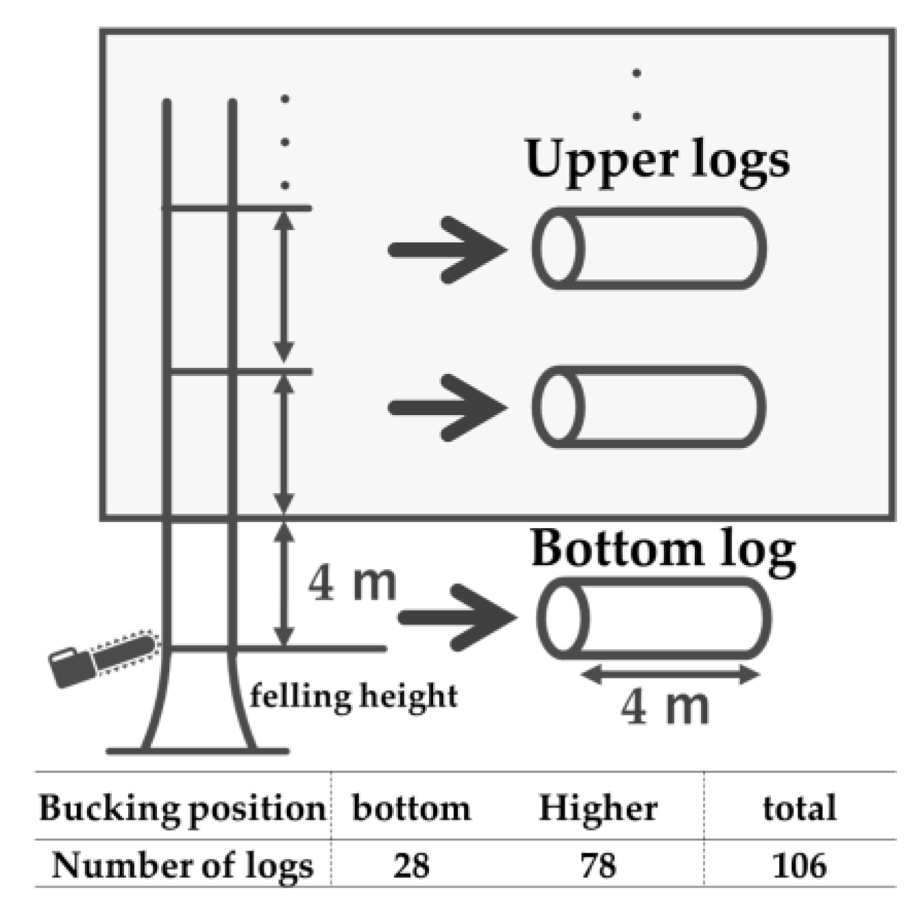 Forests 16 00244 g002