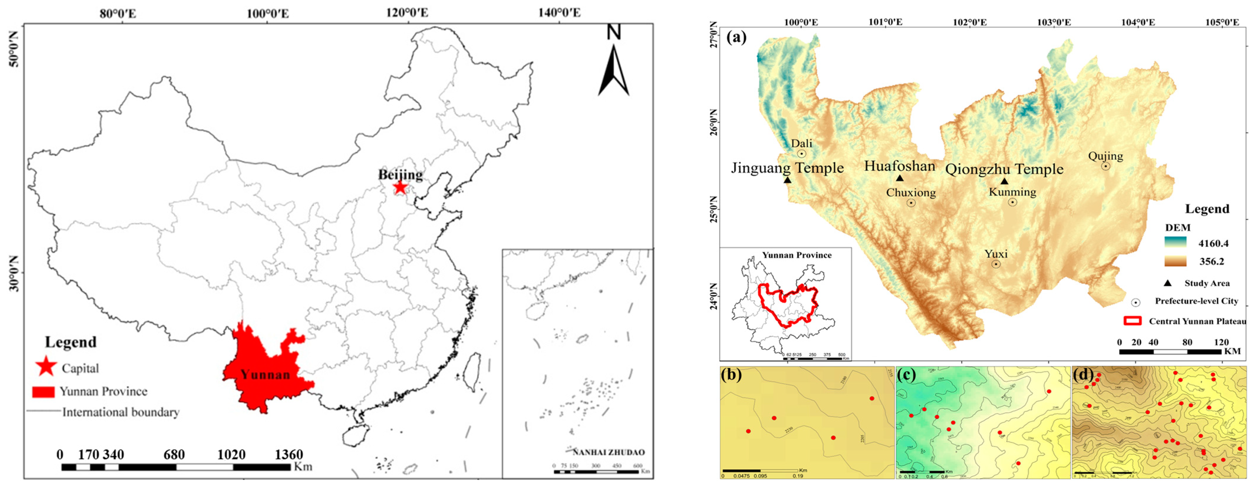 Forests 16 00245 g001