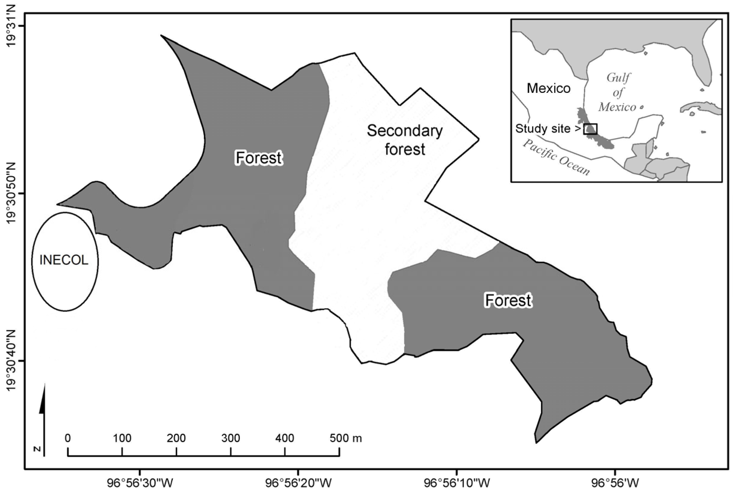 Forests 16 00258 g001