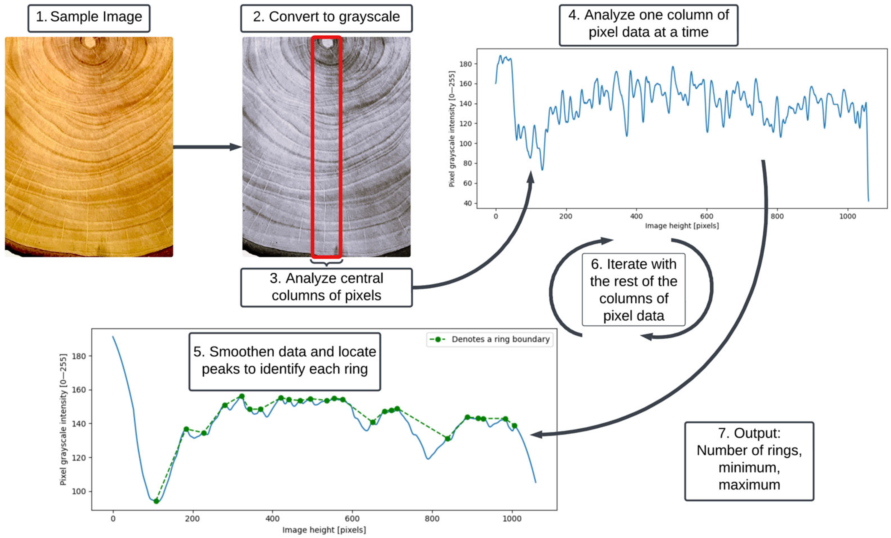 Forests 16 00258 g002