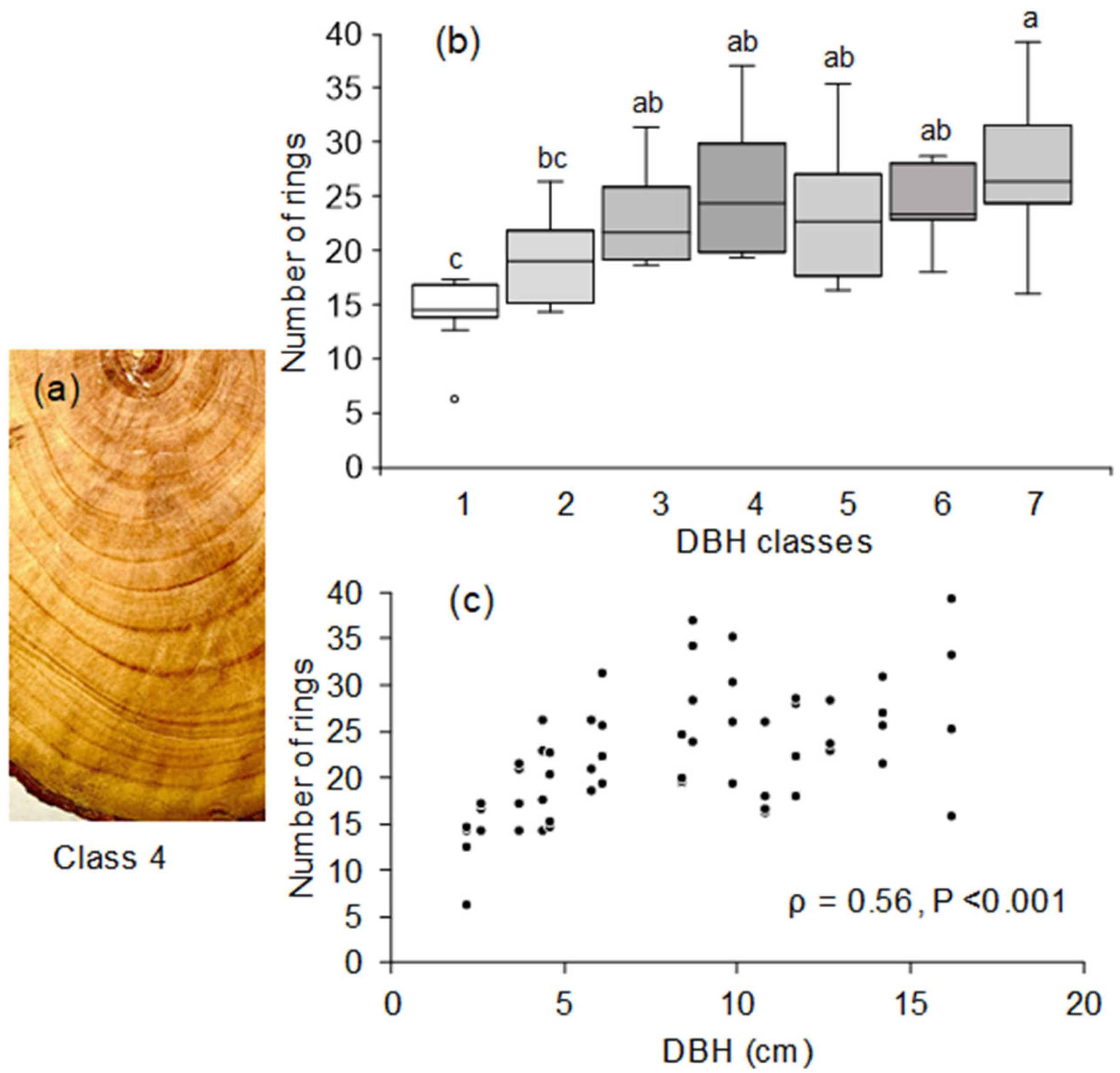 Forests 16 00258 g004
