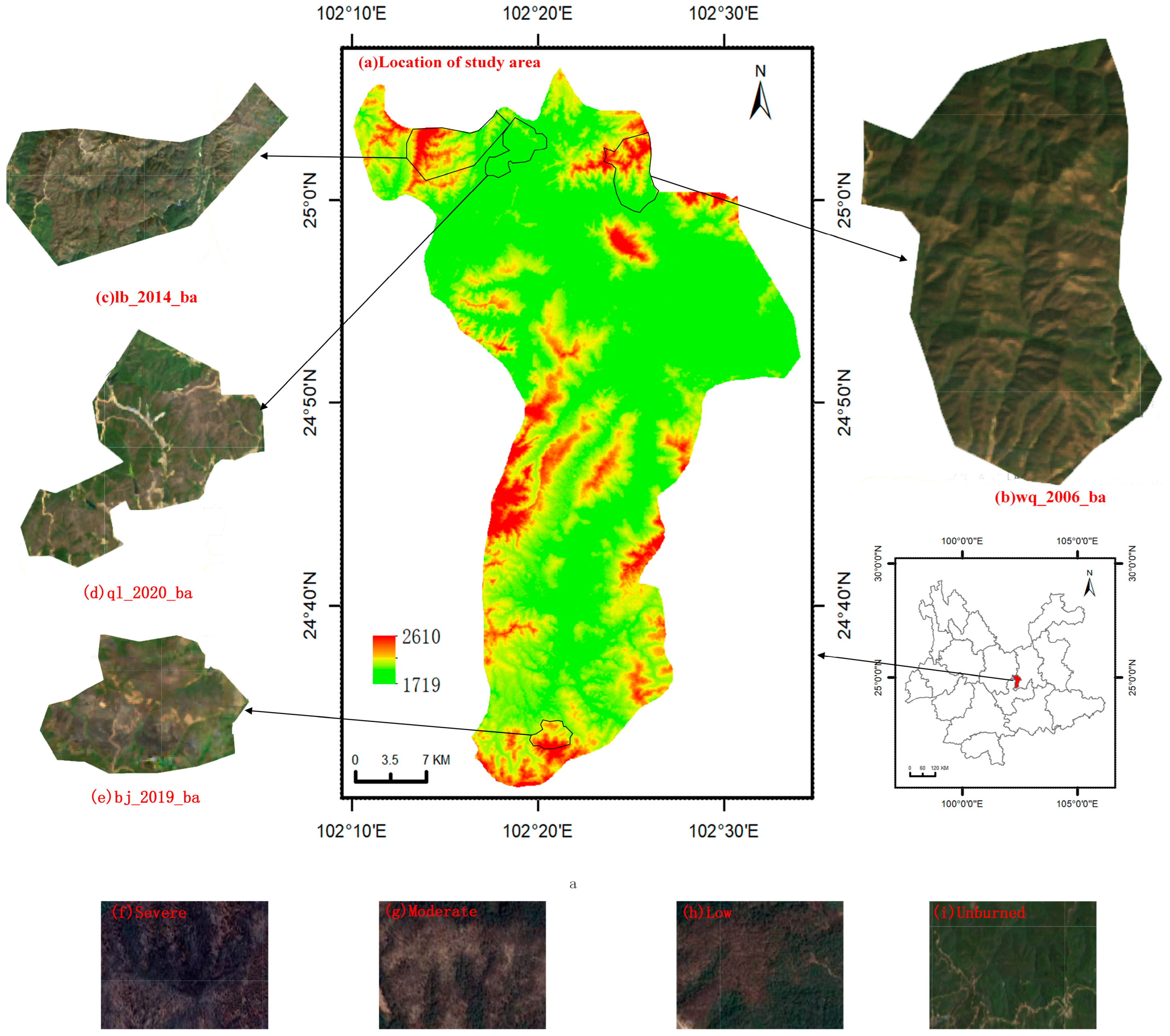 Forests 16 00263 g001
