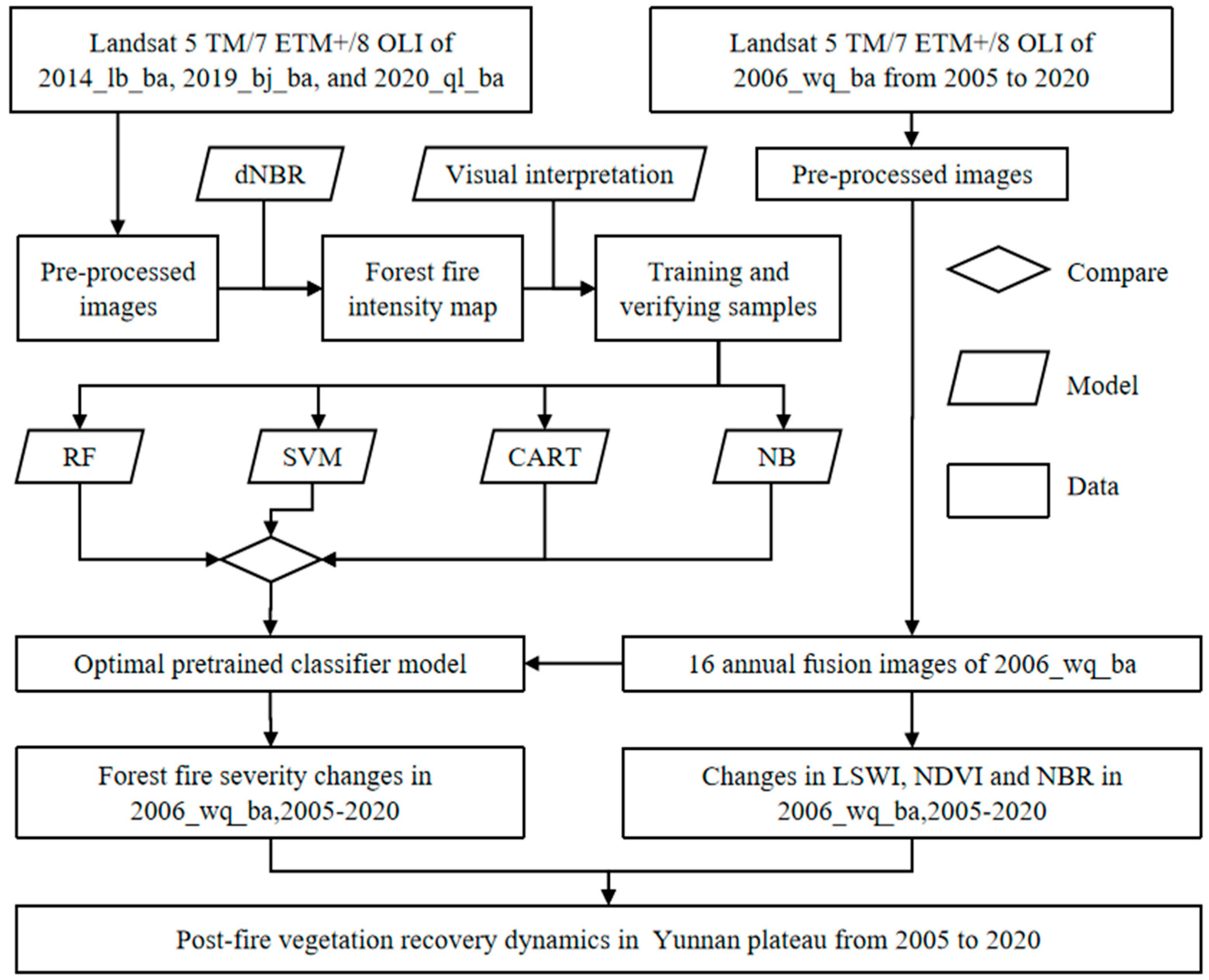 Forests 16 00263 g002