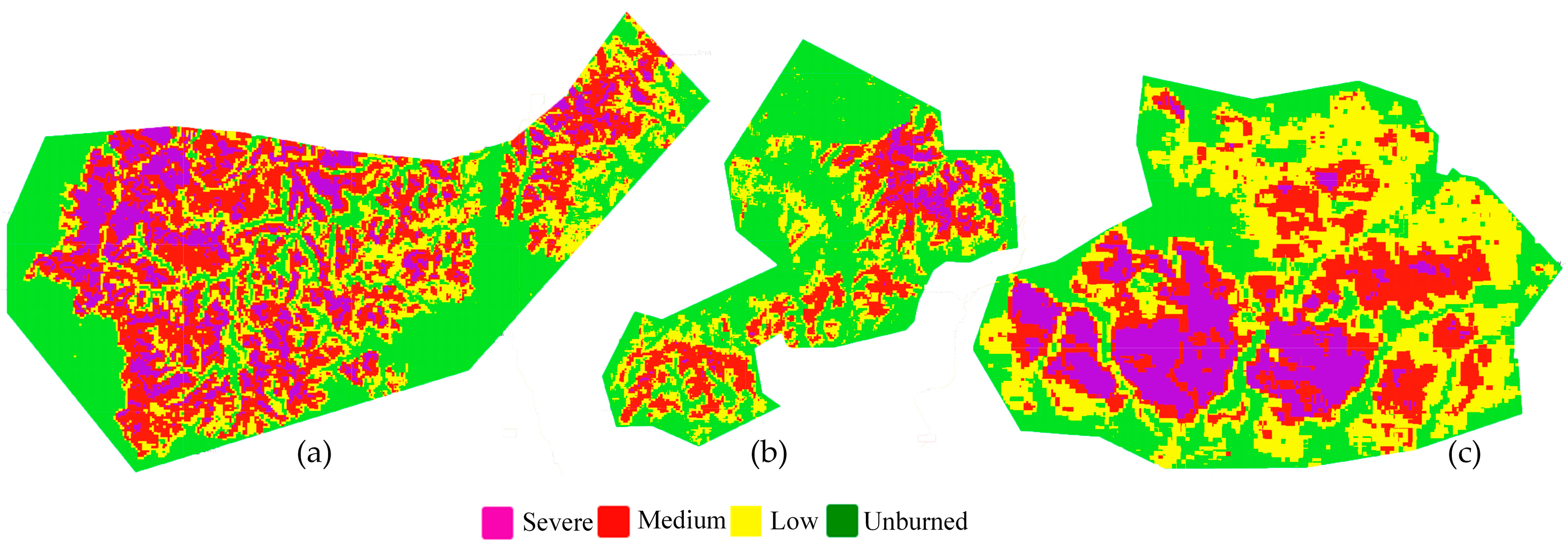 Forests 16 00263 g003