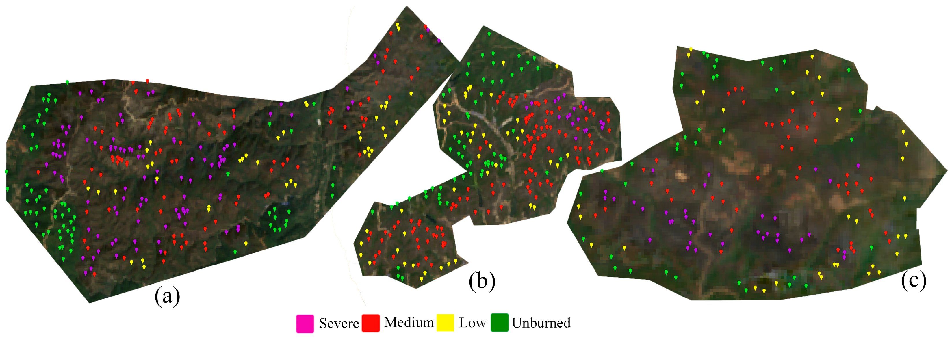 Forests 16 00263 g004