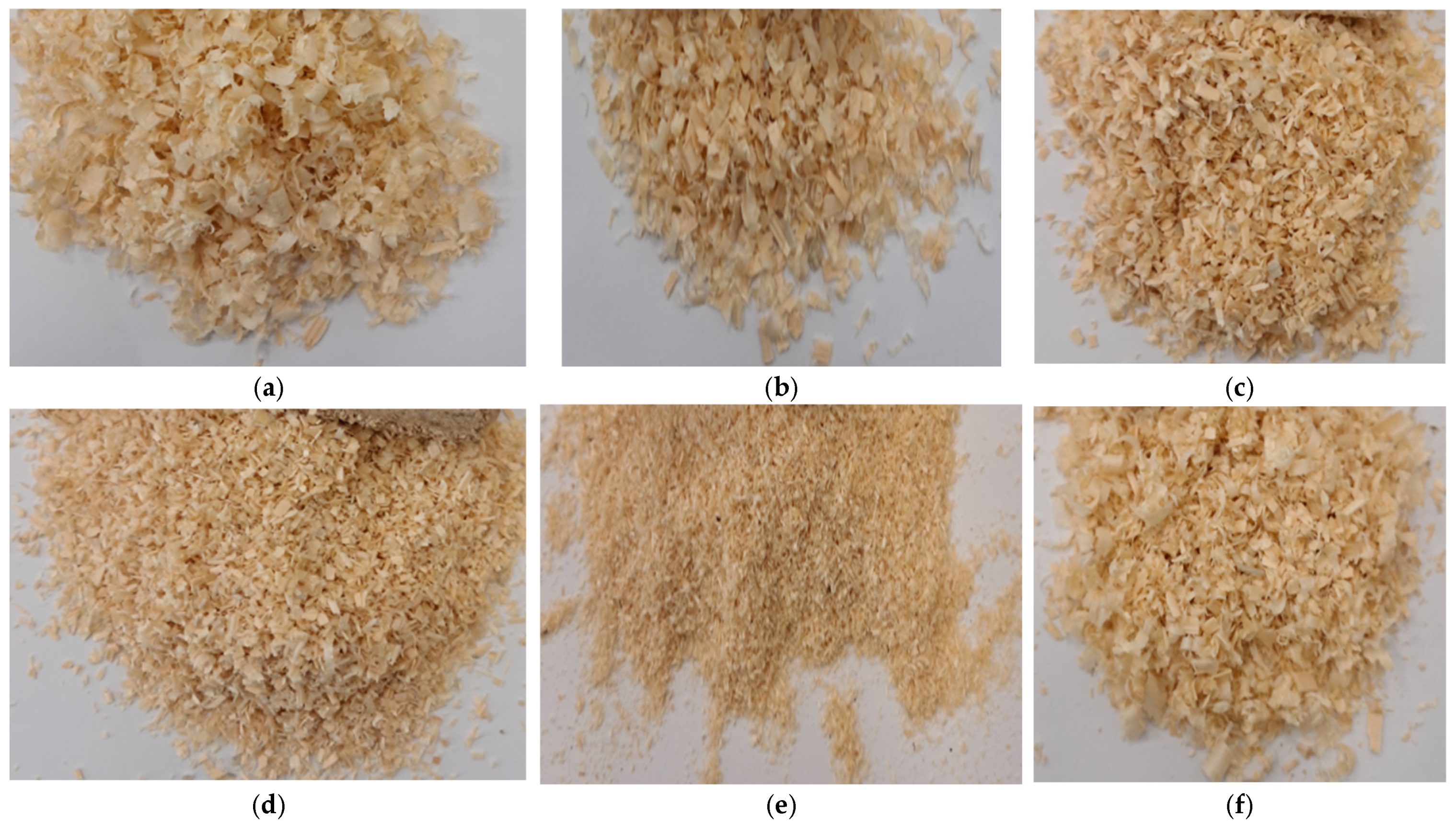 Forests 16 00267 g002