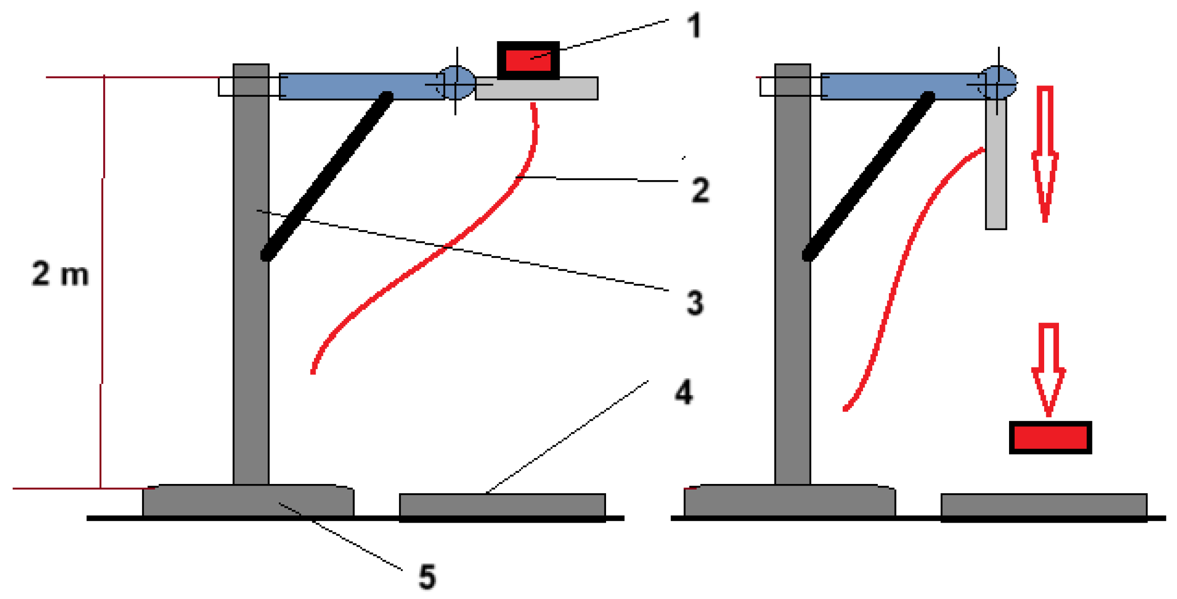 Forests 16 00267 g005