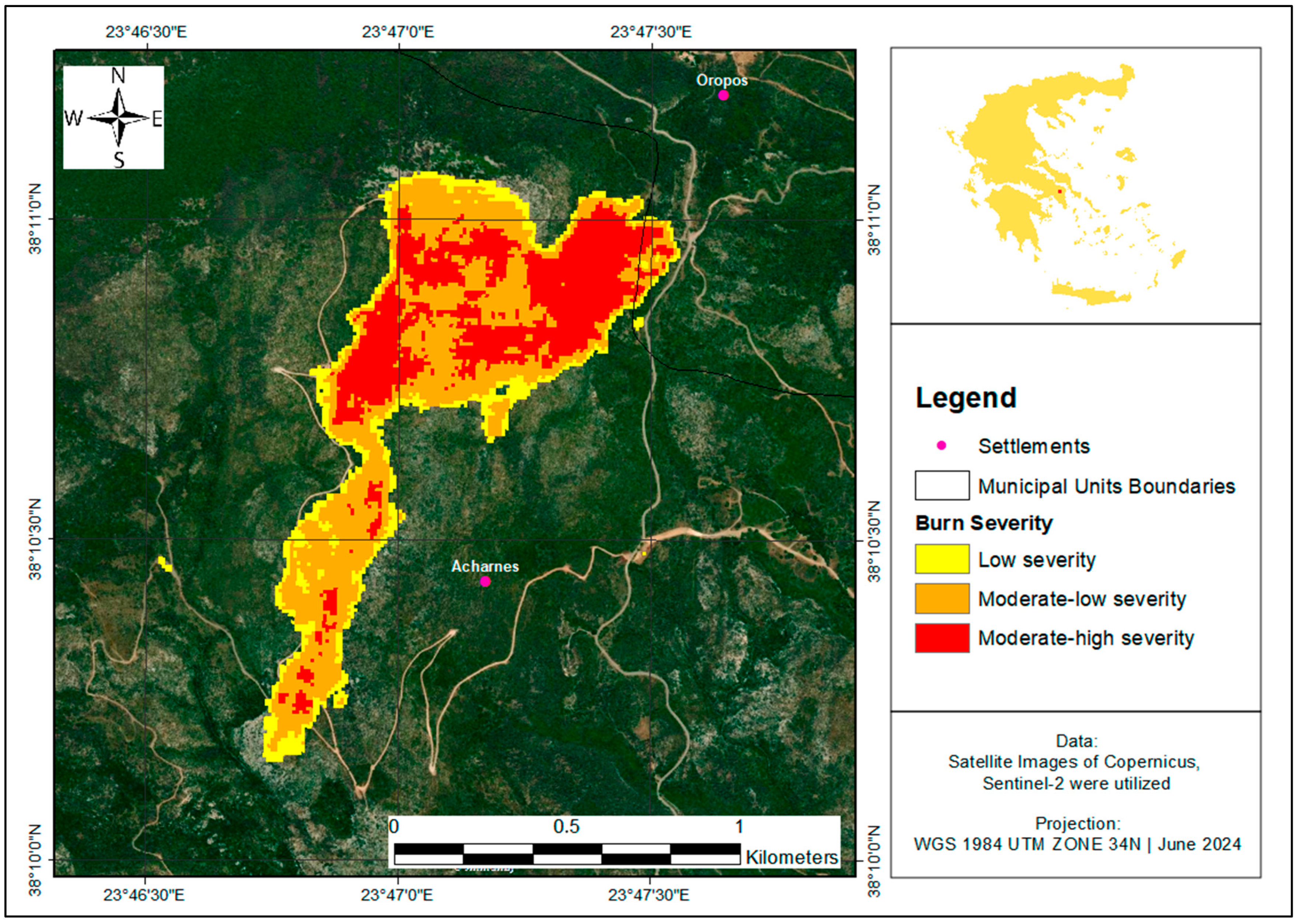 Forests 16 00268 g005