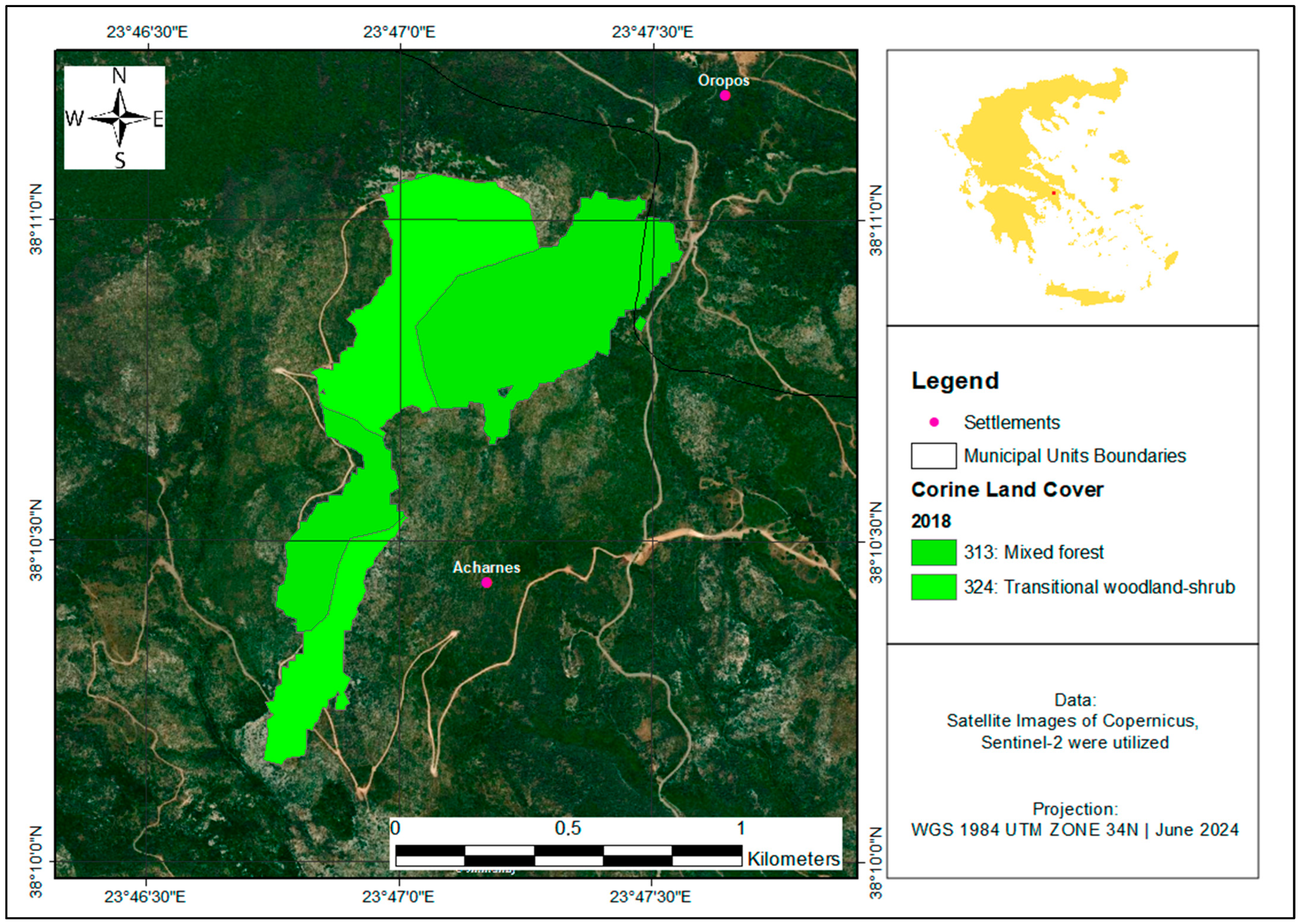 Forests 16 00268 g009