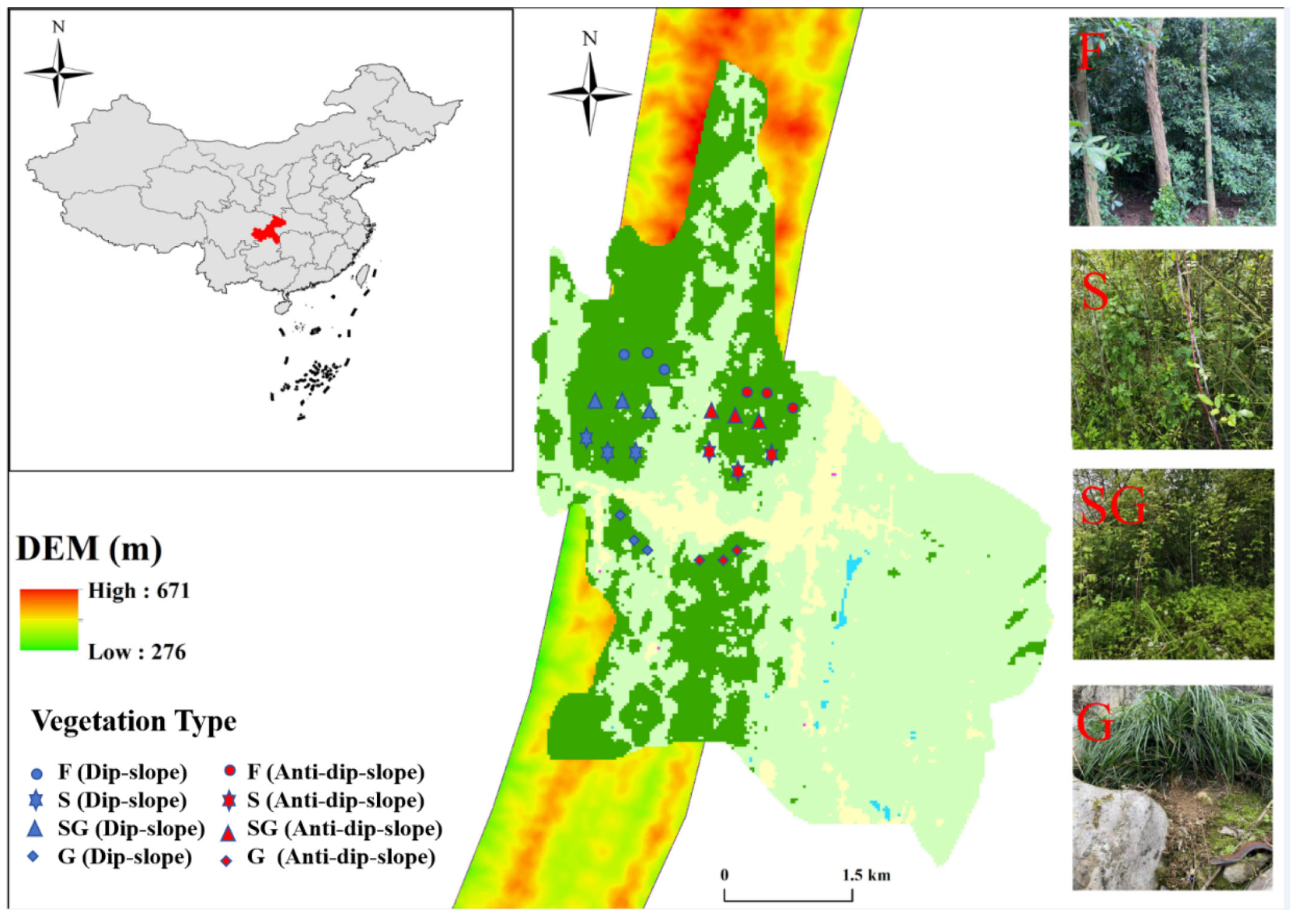 Forests 16 00279 g001