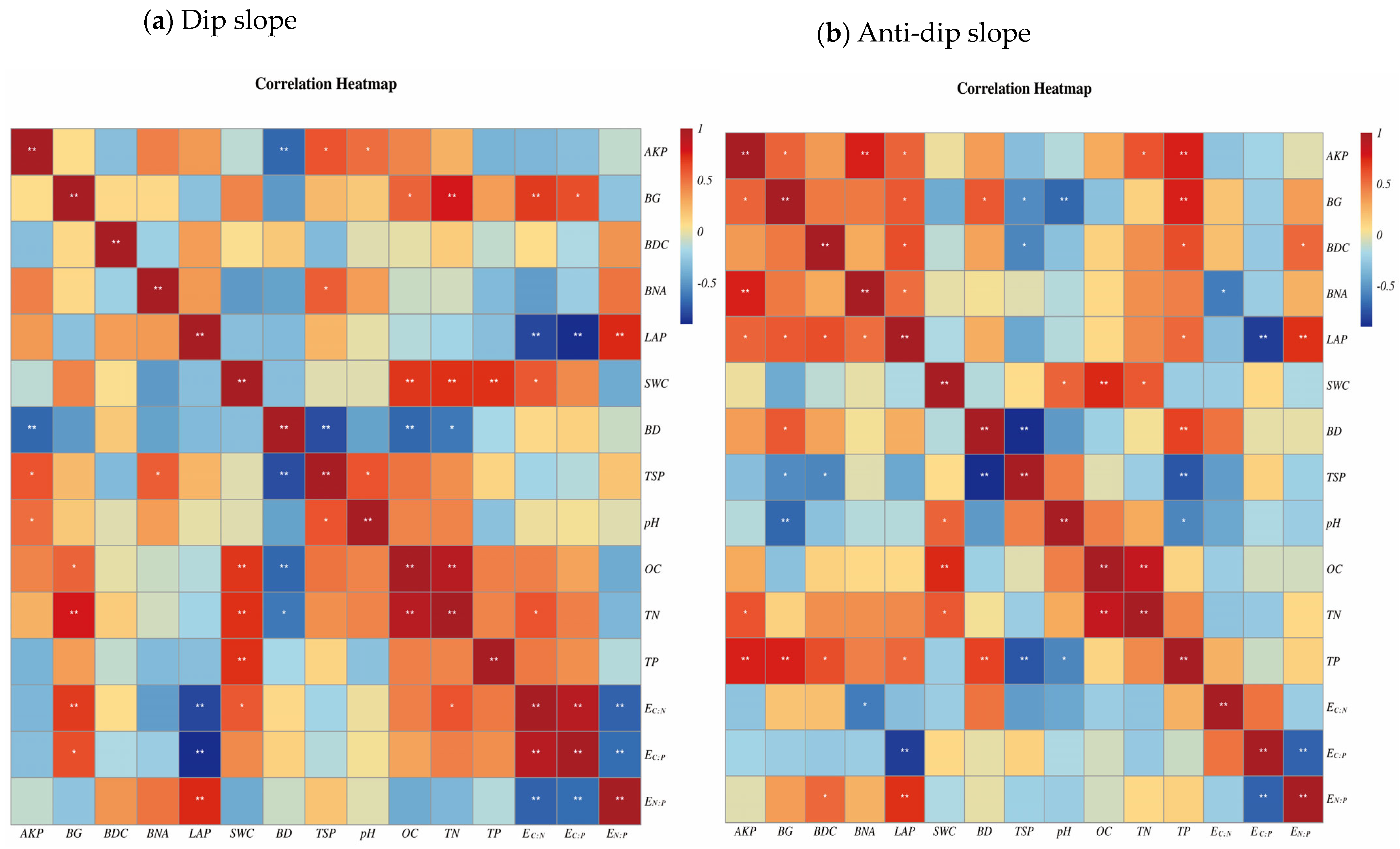 Forests 16 00279 g004