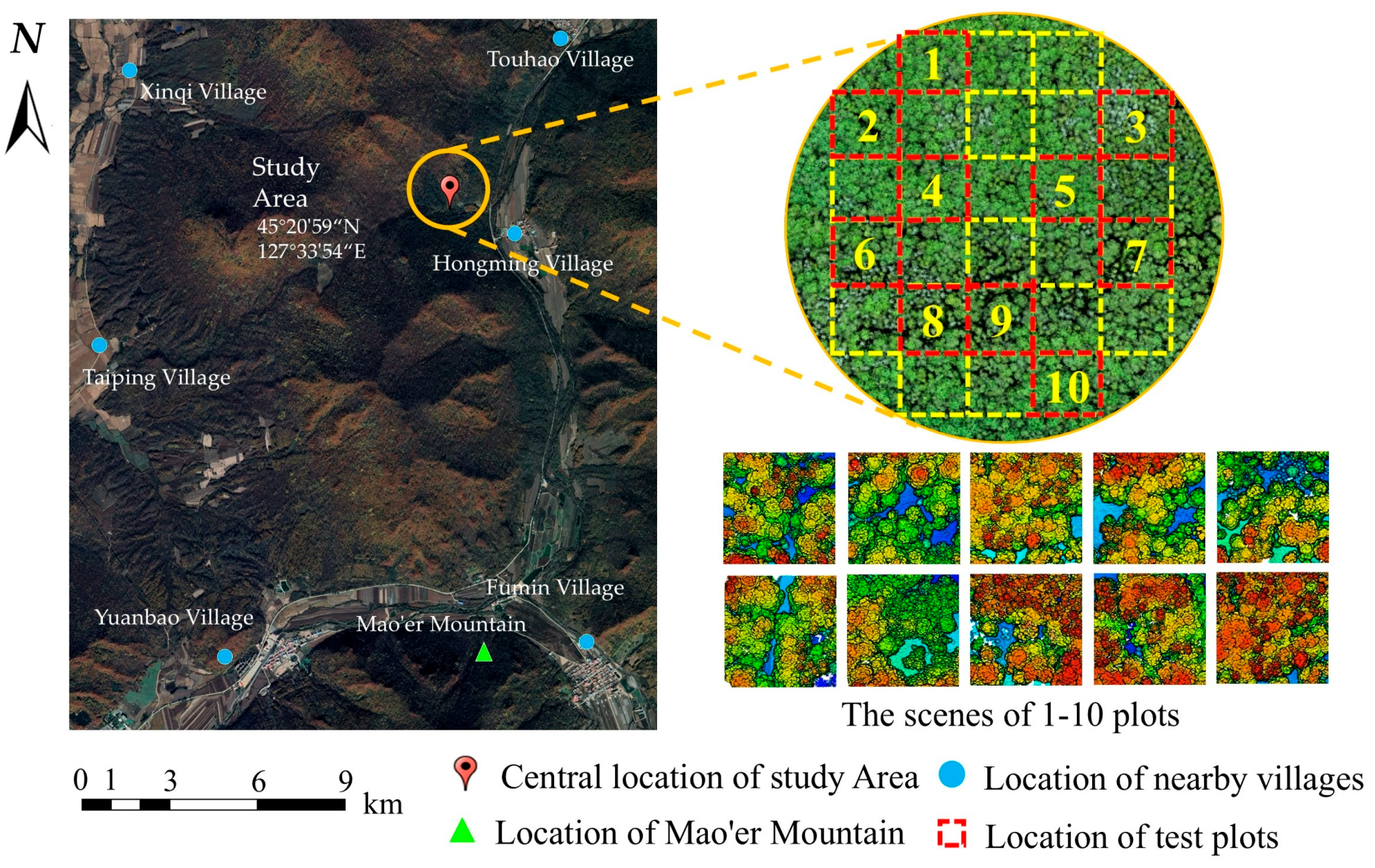 Forests 16 00280 g001