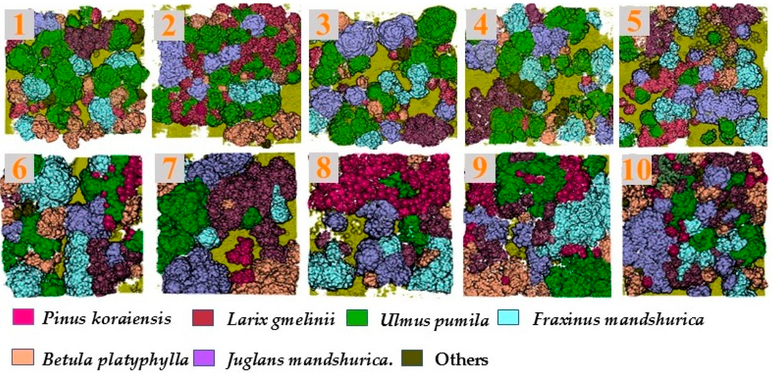 Forests 16 00280 g006
