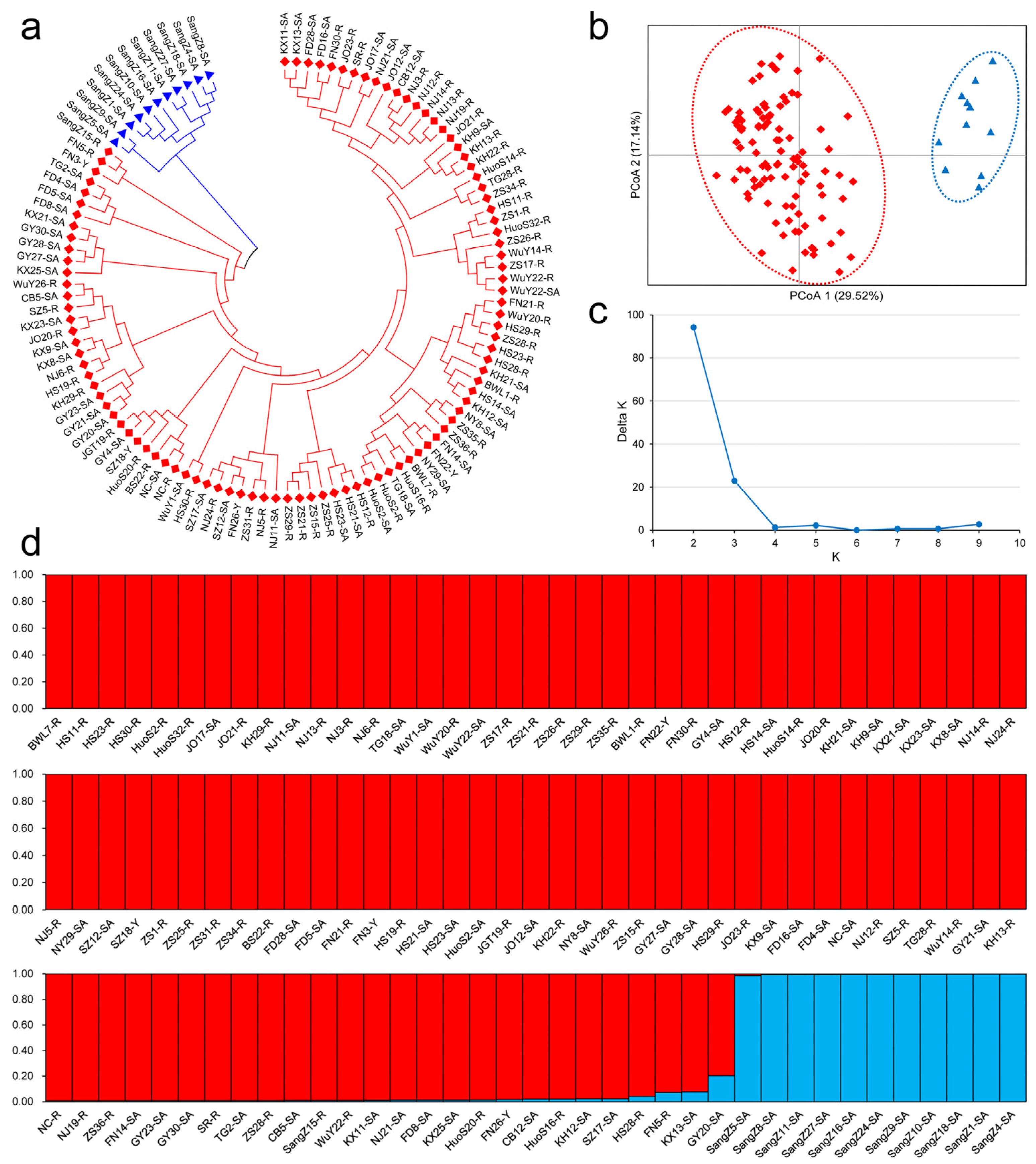 Forests 16 00281 g001