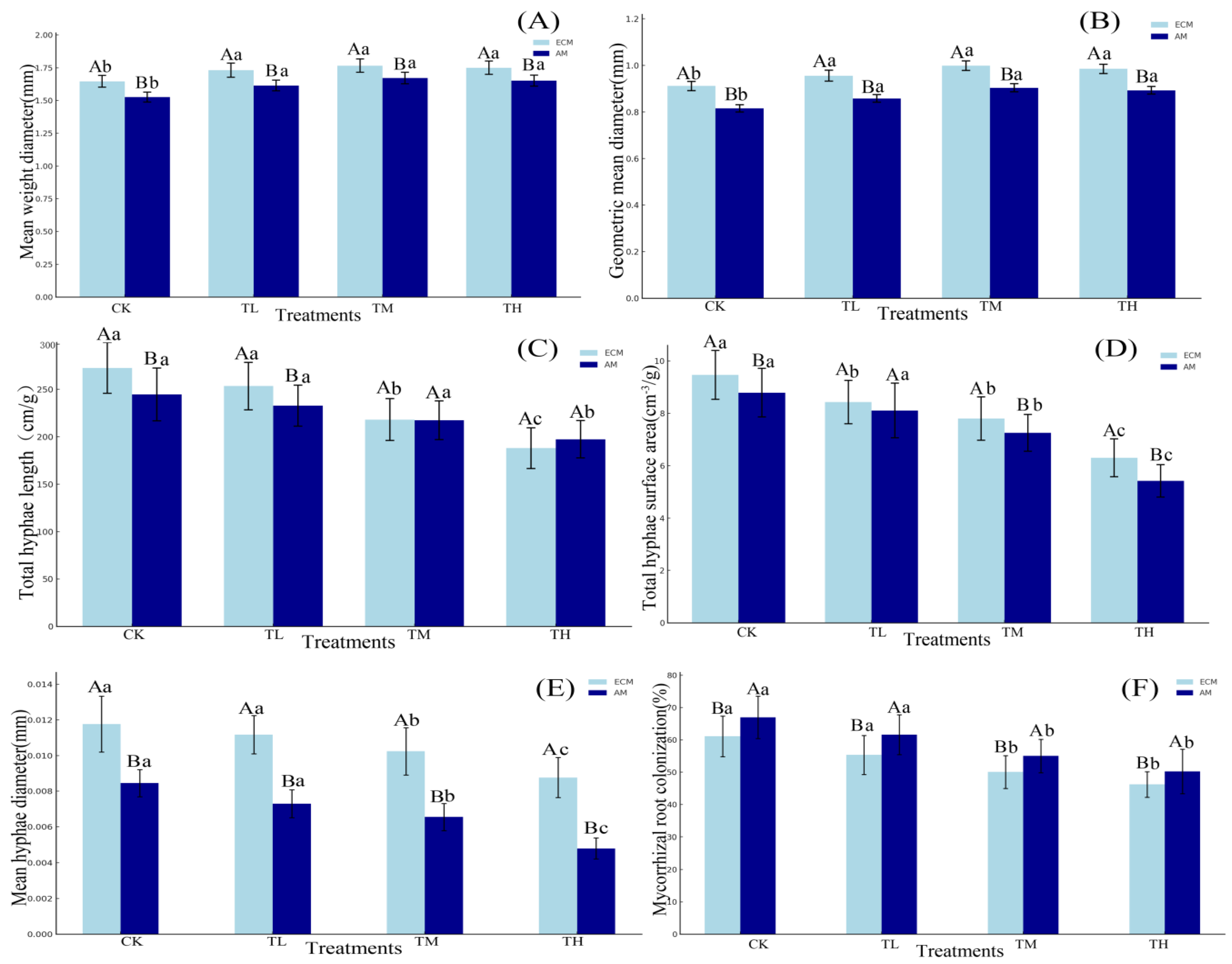Forests 16 00282 g002