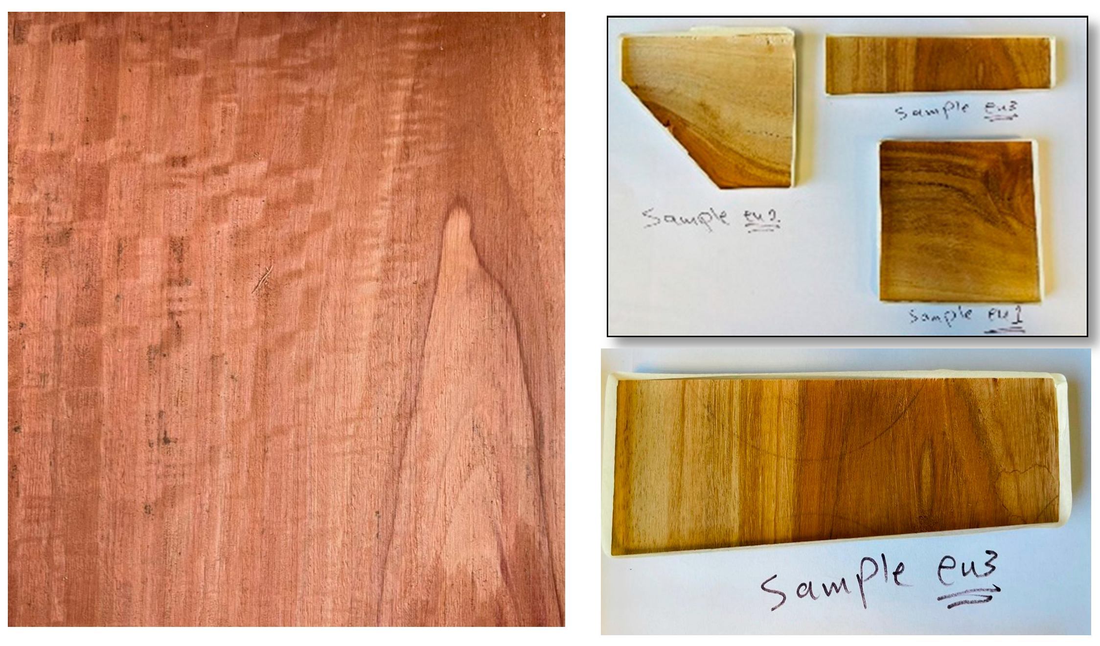 Forests 16 00287 g002