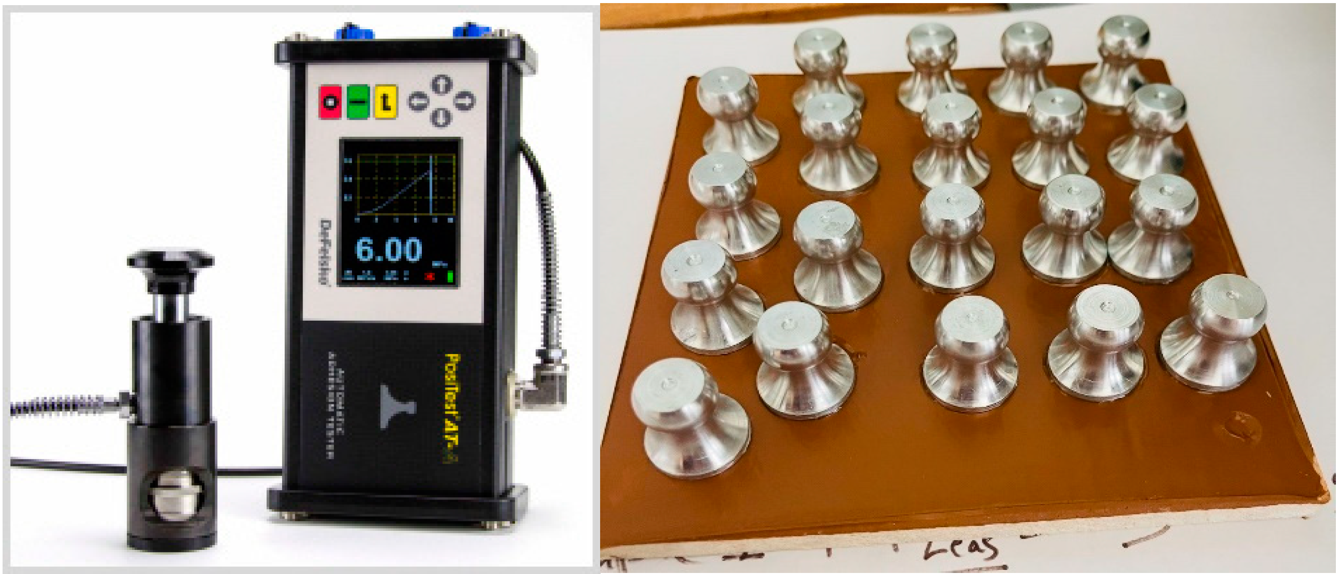 Forests 16 00287 g005