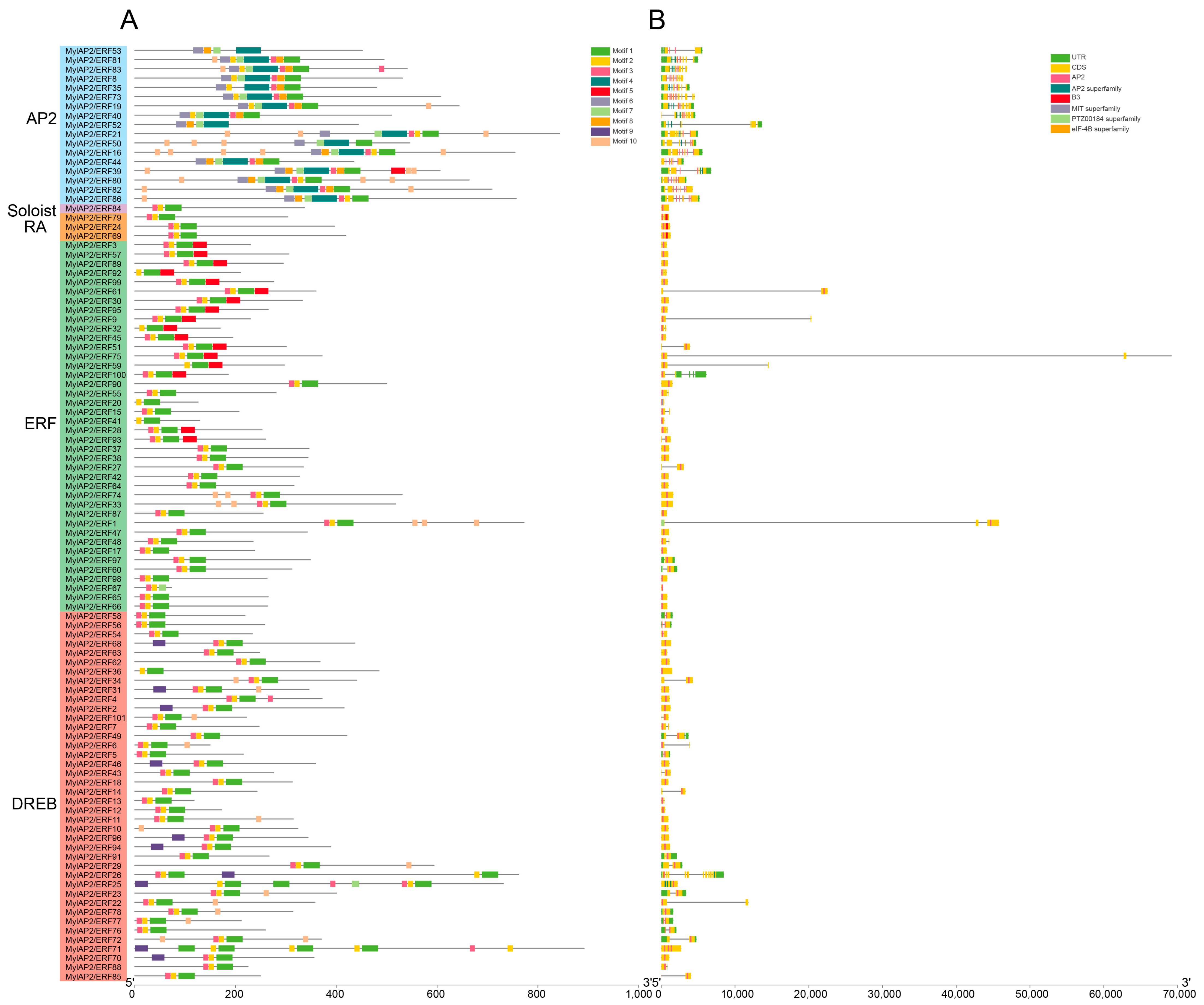 Forests 16 00295 g007